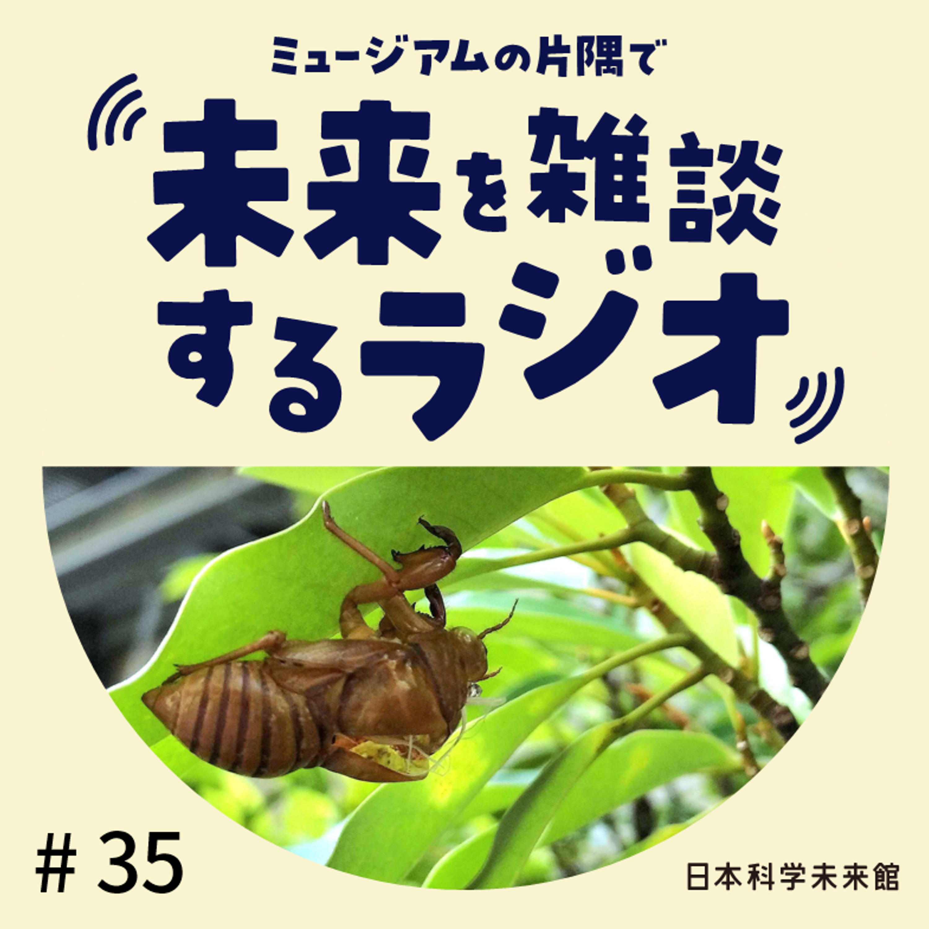 #35 自由研究、何してた? ①セミとごみ拾い episode artwork