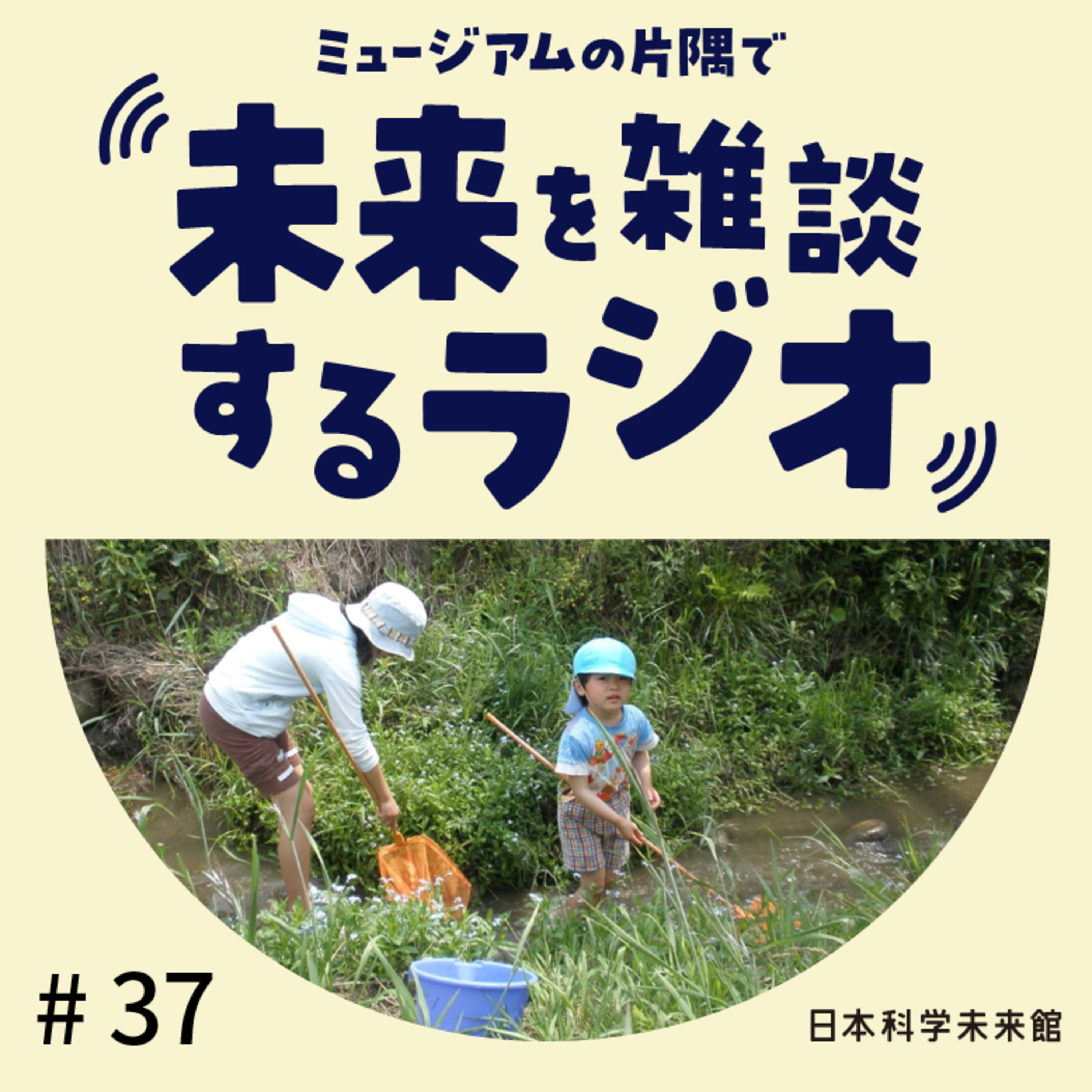 #37 自由研究、何してた? ③ 川の中にすむ昆虫から水質を調べる episode artwork