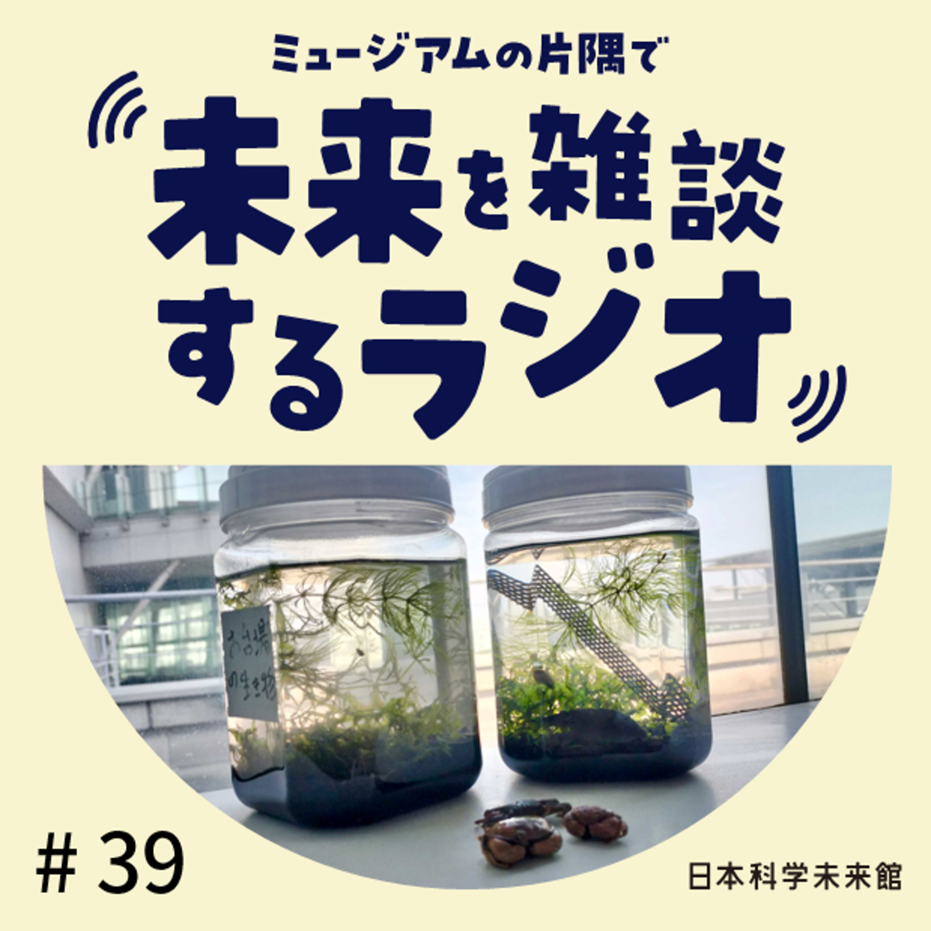 #39 自由研究、何してた? ⑤水産生物を標本にする episode artwork