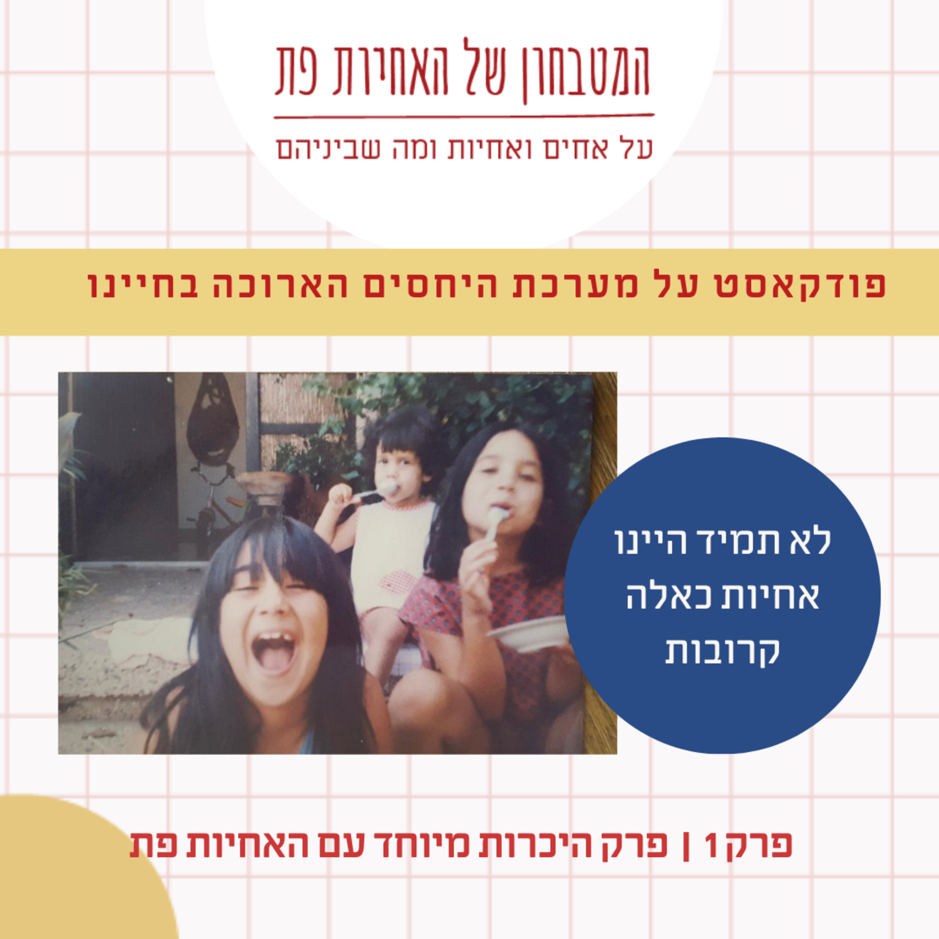  פרק 1 - האם באמת אין פודקאסט על מערכת היחסים הארוכה בחיינו? episode artwork