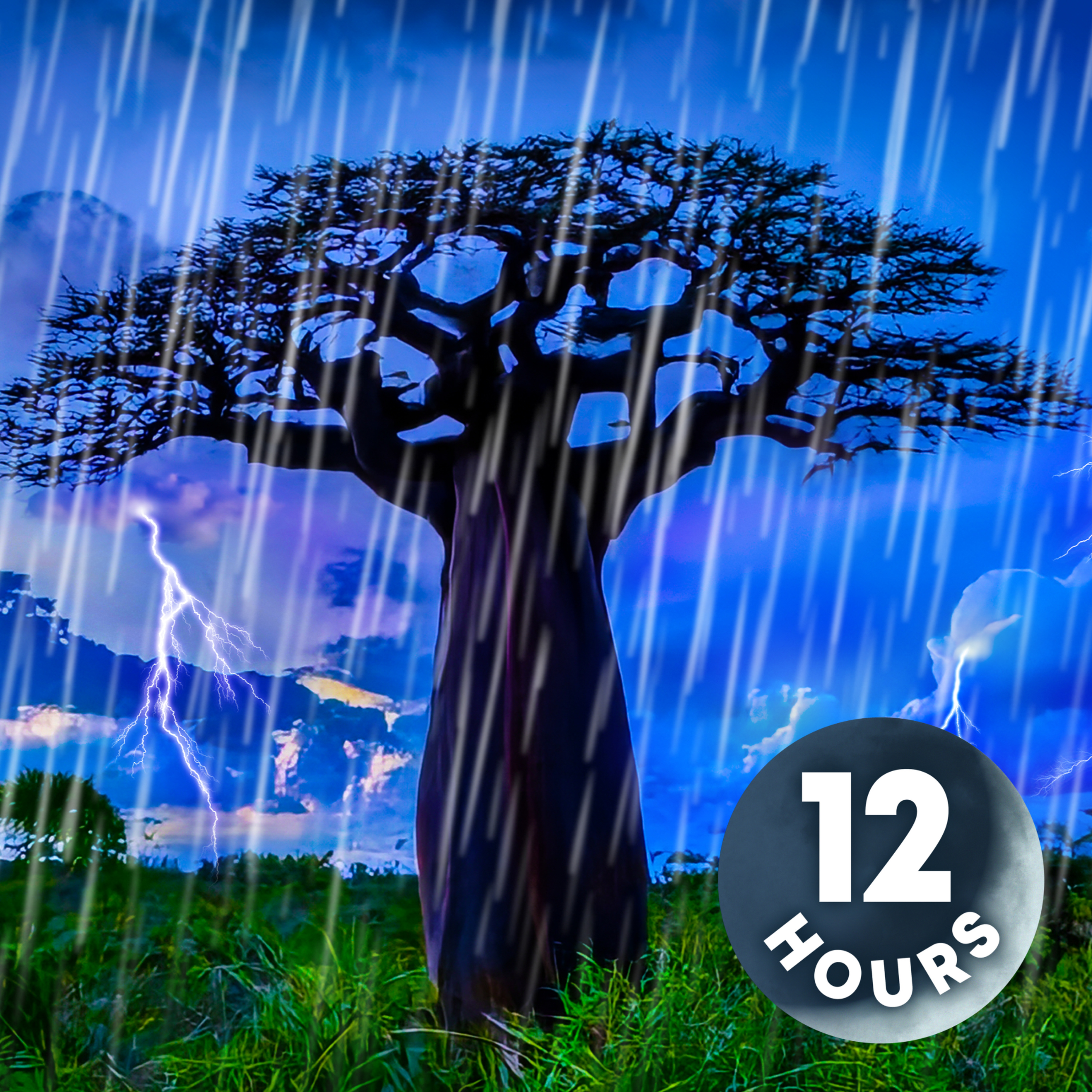 Rainforest Thunderstorm Sounds for Sleeping and Relaxation | 12 Hour