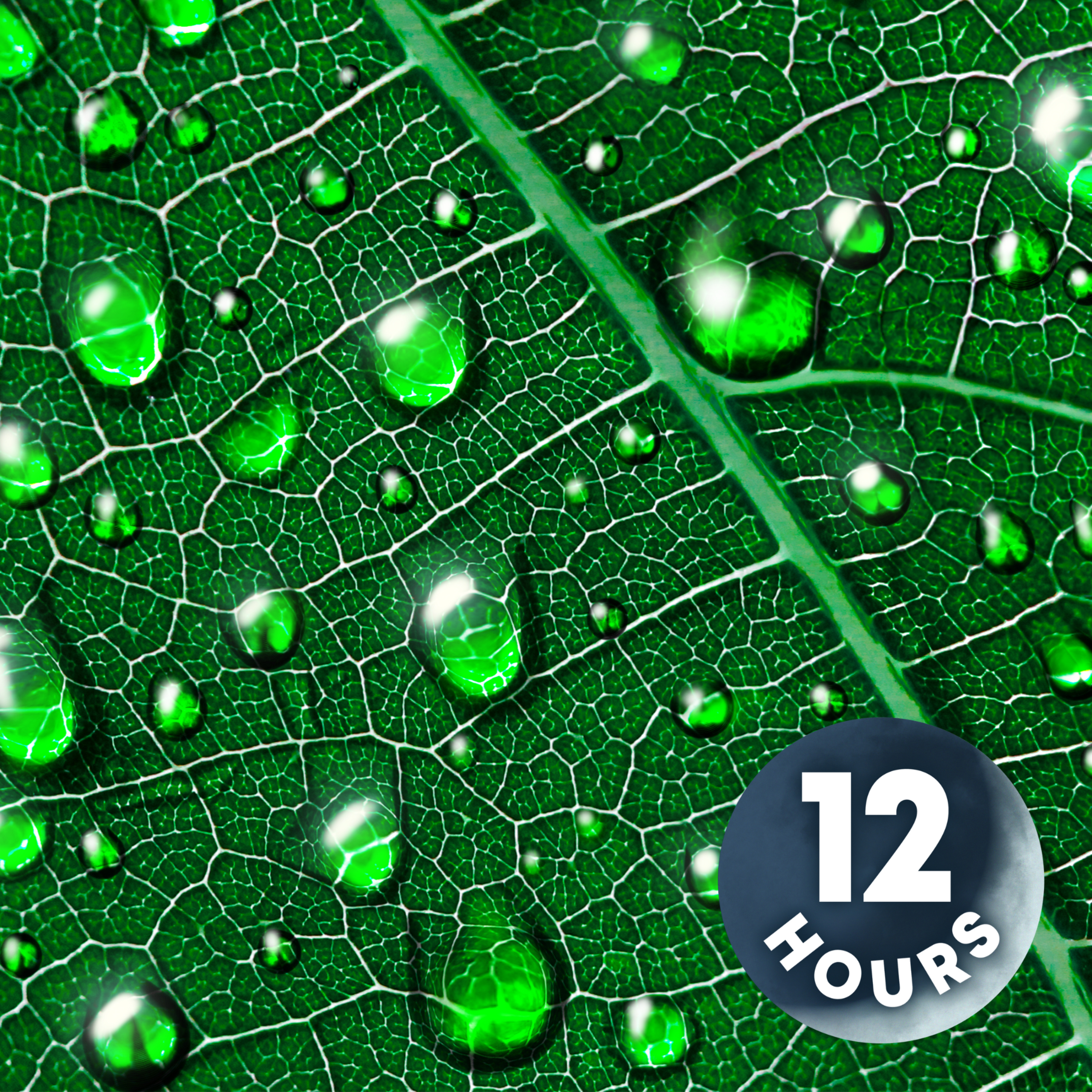 Heavy Tropical Rainstorm Sounds for Sleeping & Relaxation | 12 Hours