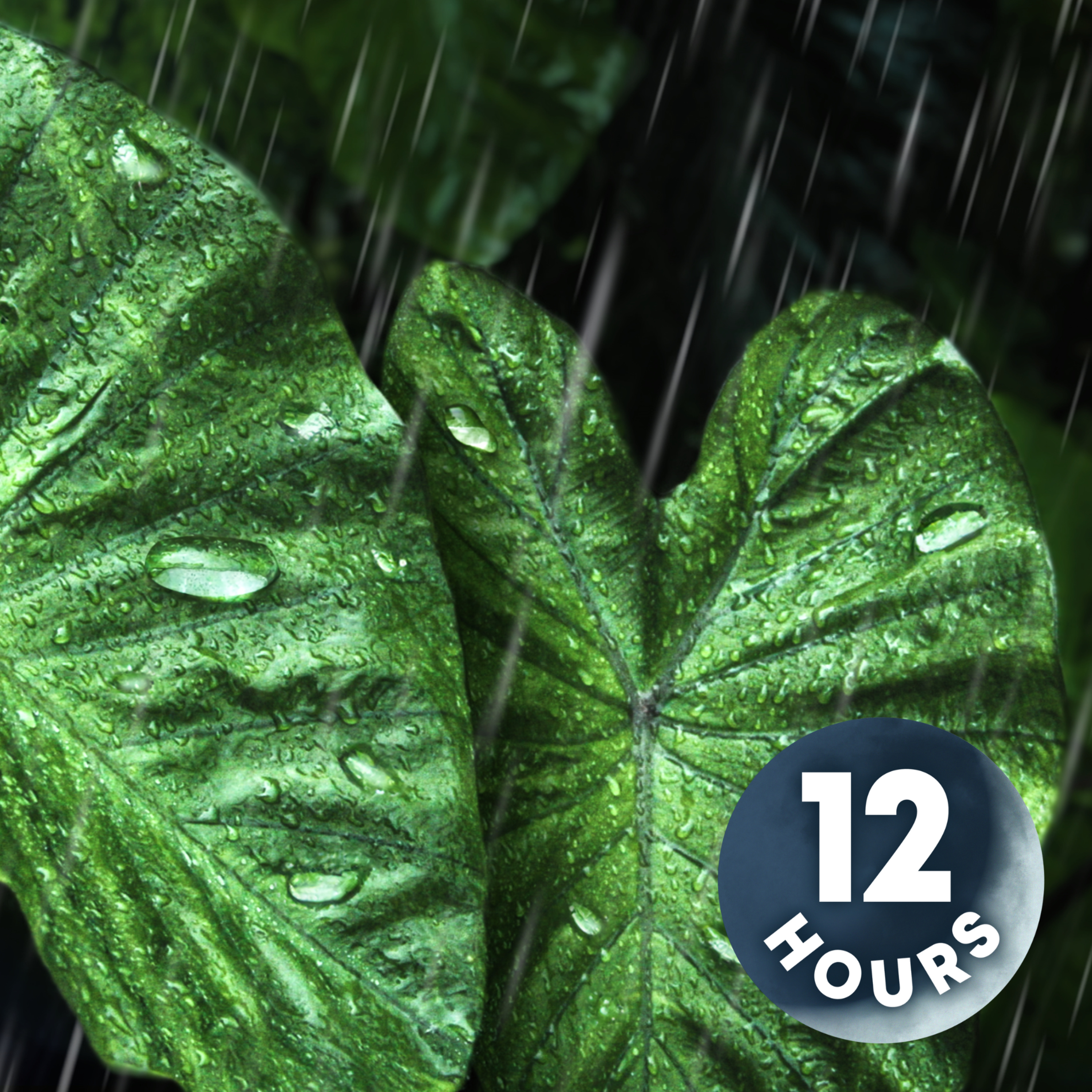 Sleep Rain Noise in Tropical Rainforest | Heavy Rain Sounds for Sleeping 12 Hours