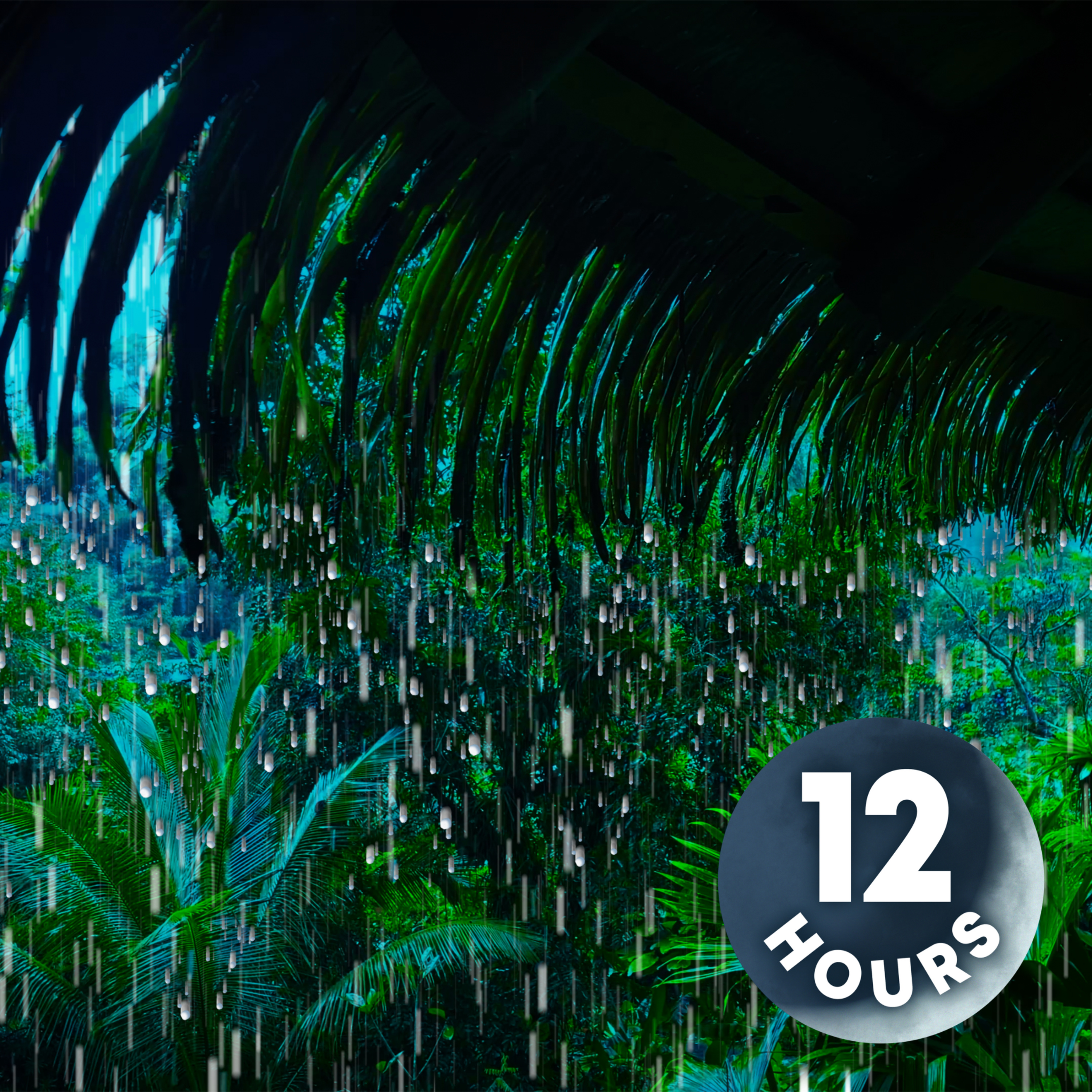 12-Hour Rainforest Rain Sounds to Sleep & Relax