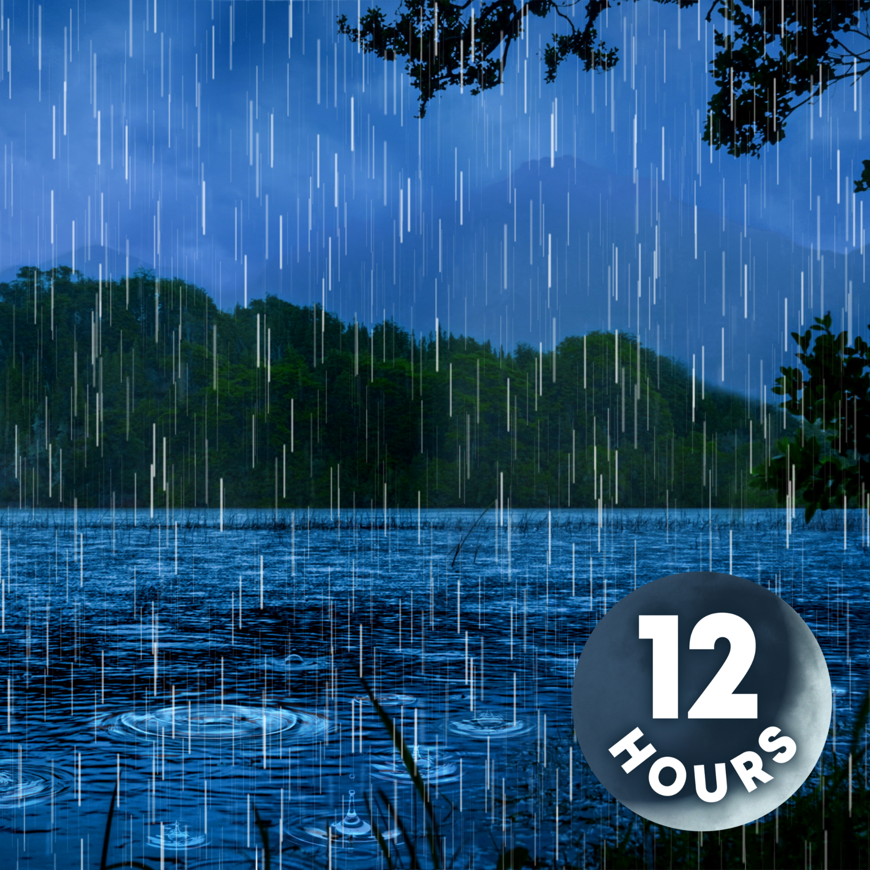 White Noise Rain & Water Sounds for Sleeping 12 Hours