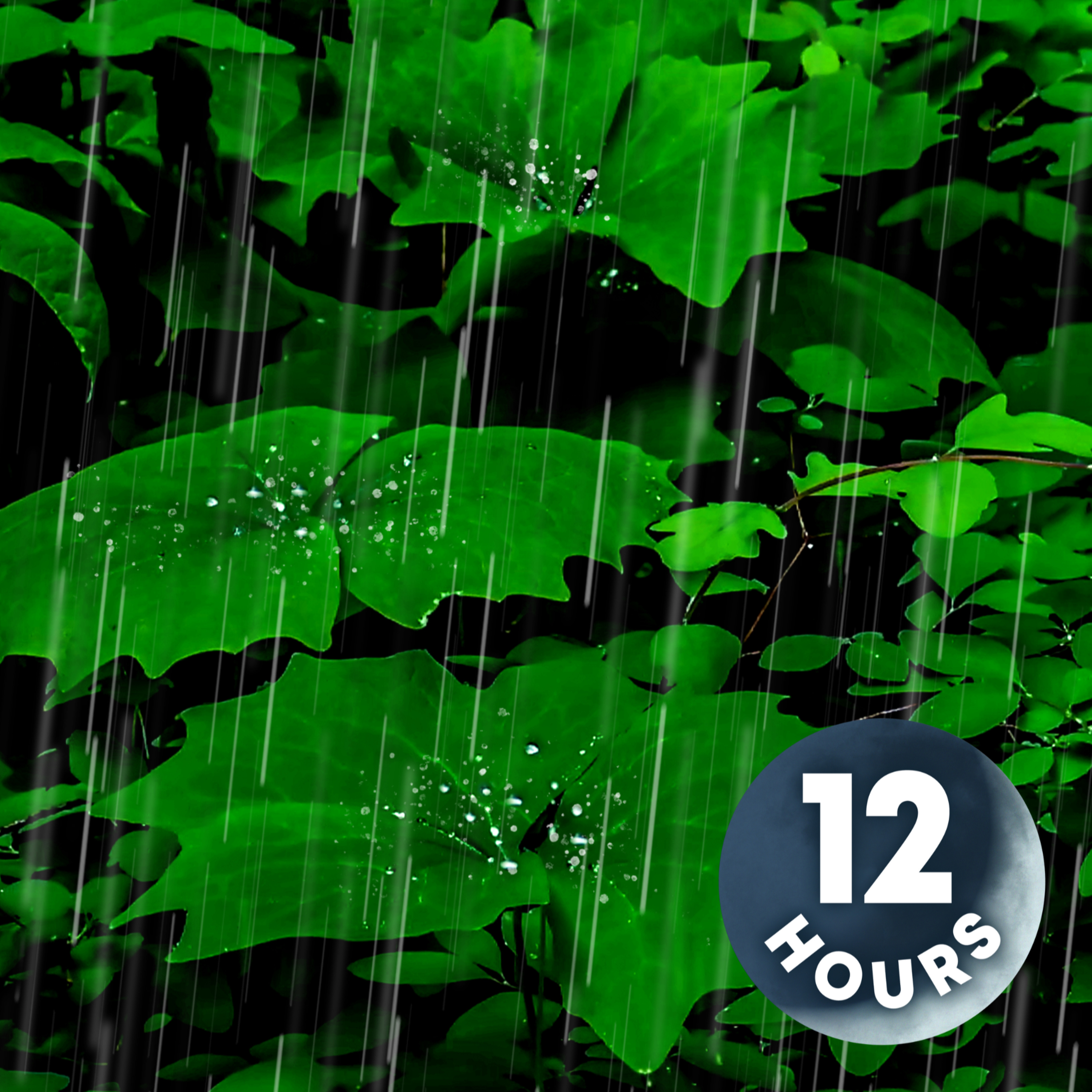 Relaxing Rainforest Thunderstorm | 12 Hour Soothing Sleep Ambience | Rain Sounds to Sleep episode artwork
