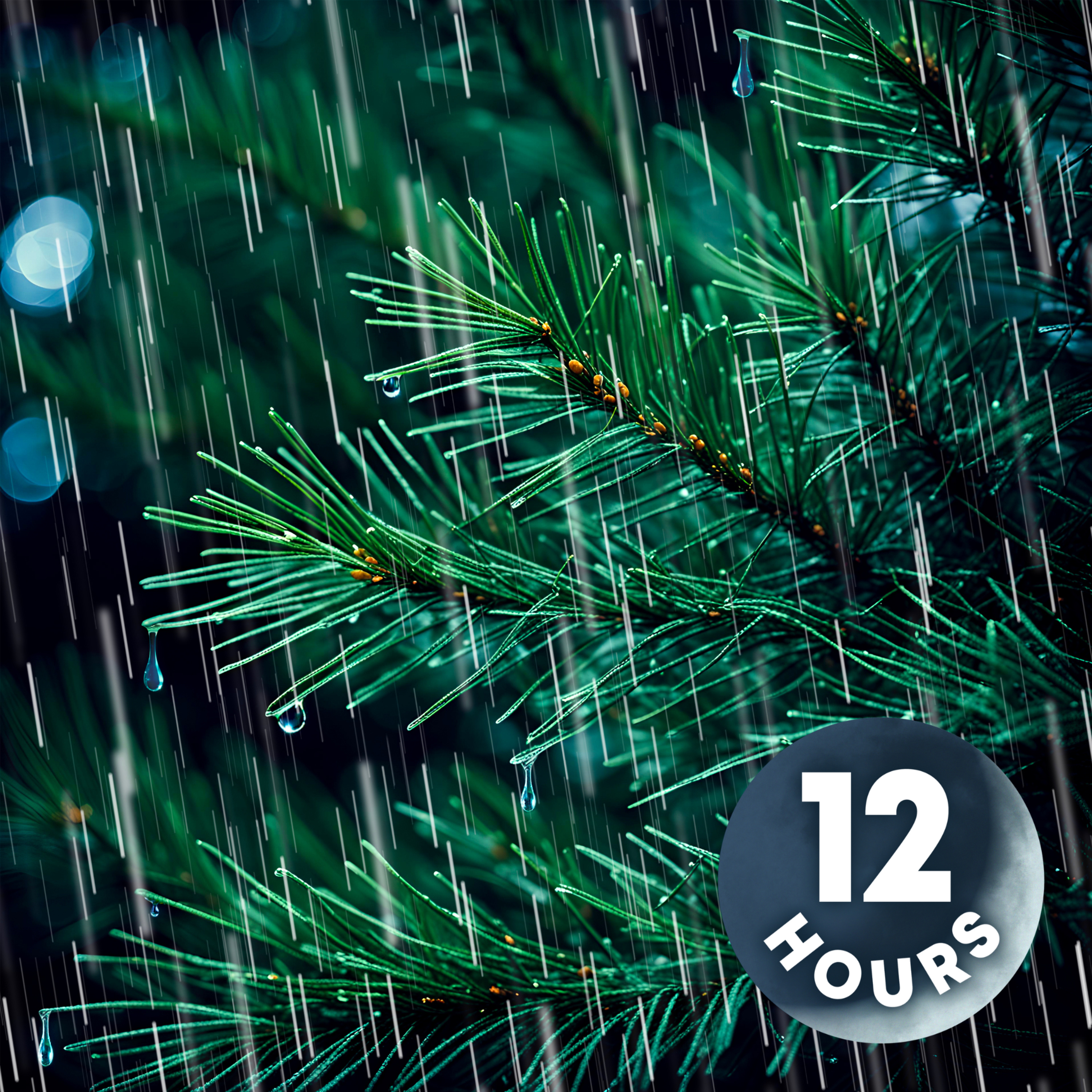 Heavy Rain on Forest Leaves for a Good Night's Sleep! | 12 Hours