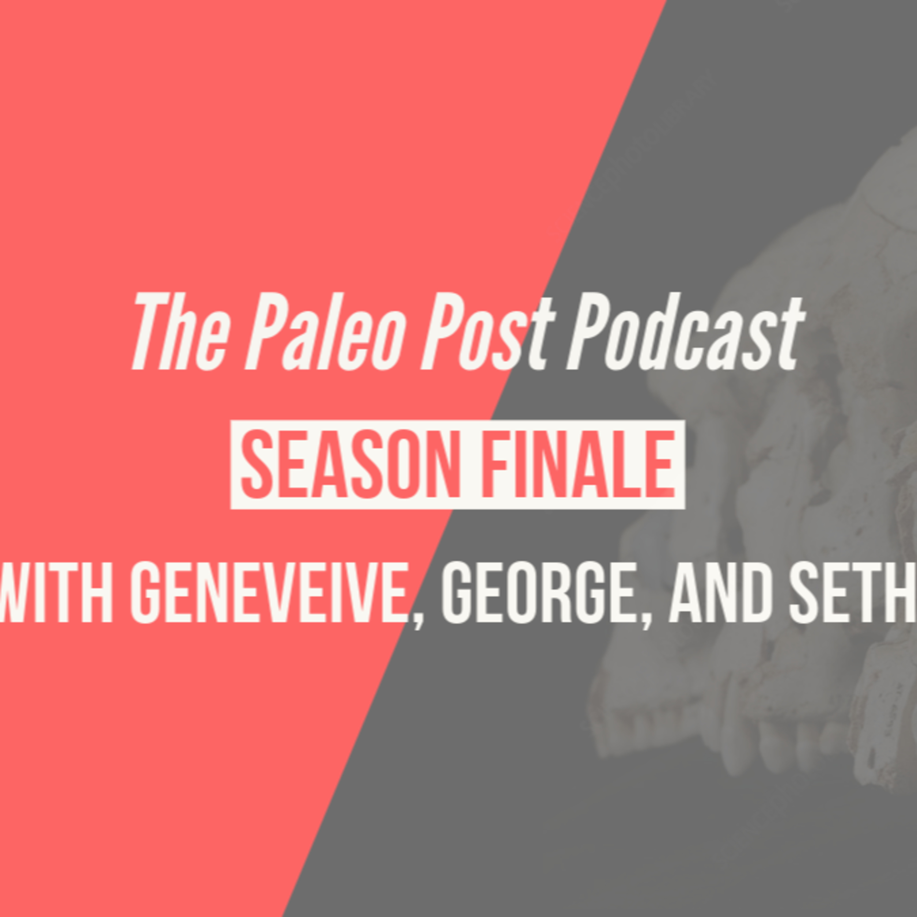 🔍 The Forgotten Artists of the Ice Age: What We’re Finally Finding! episode artwork