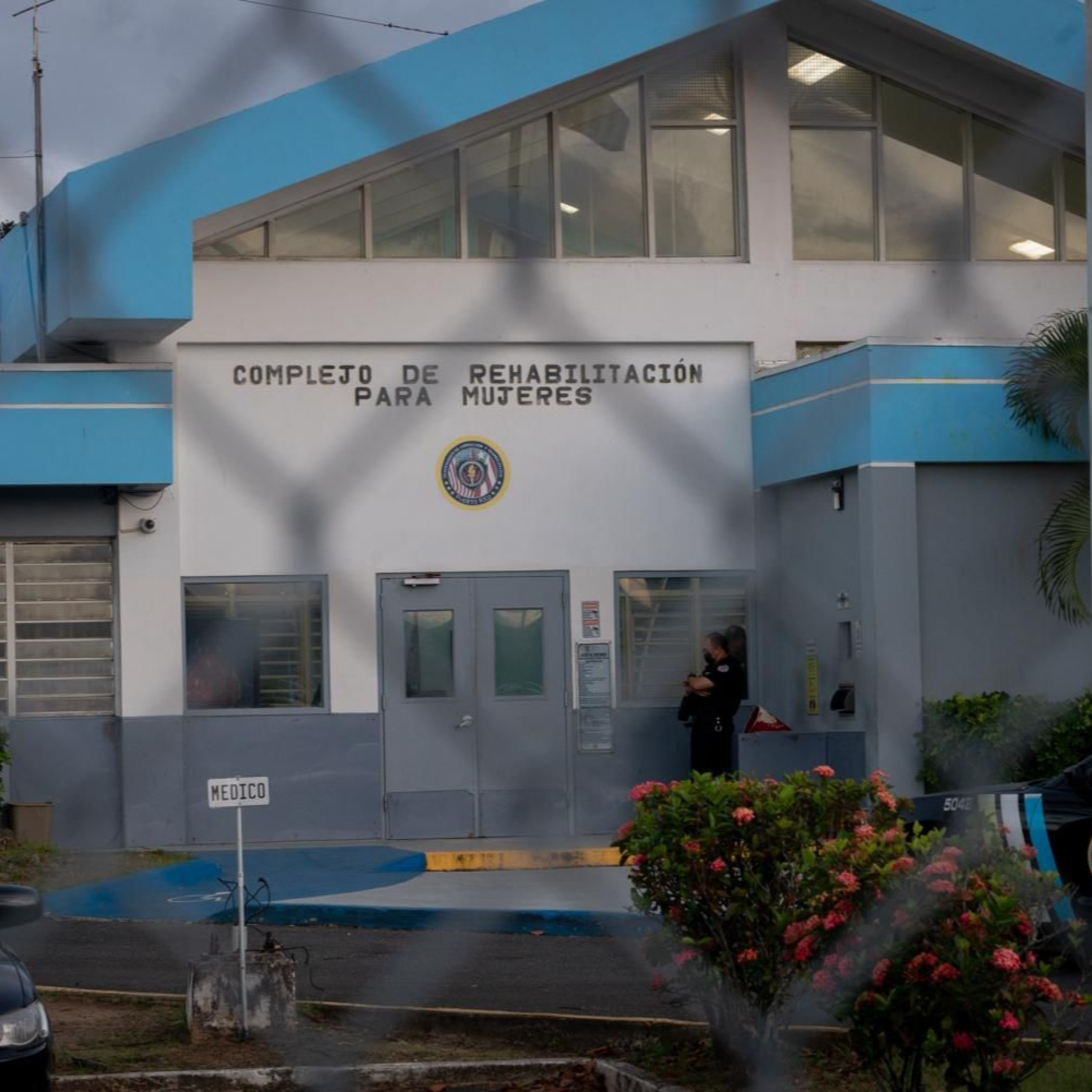 Crimen 101: entre causas y estrategias