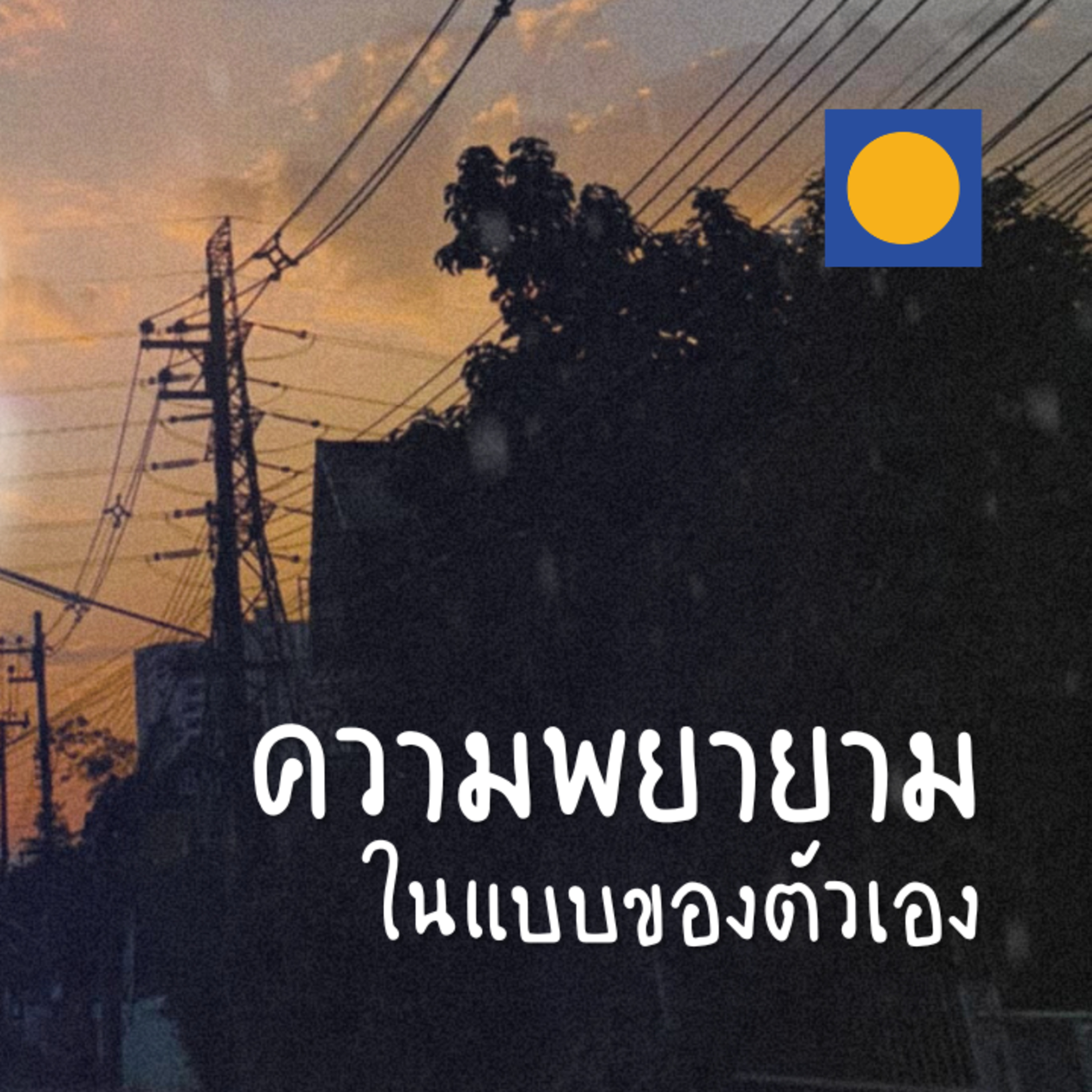 Midnight Diary