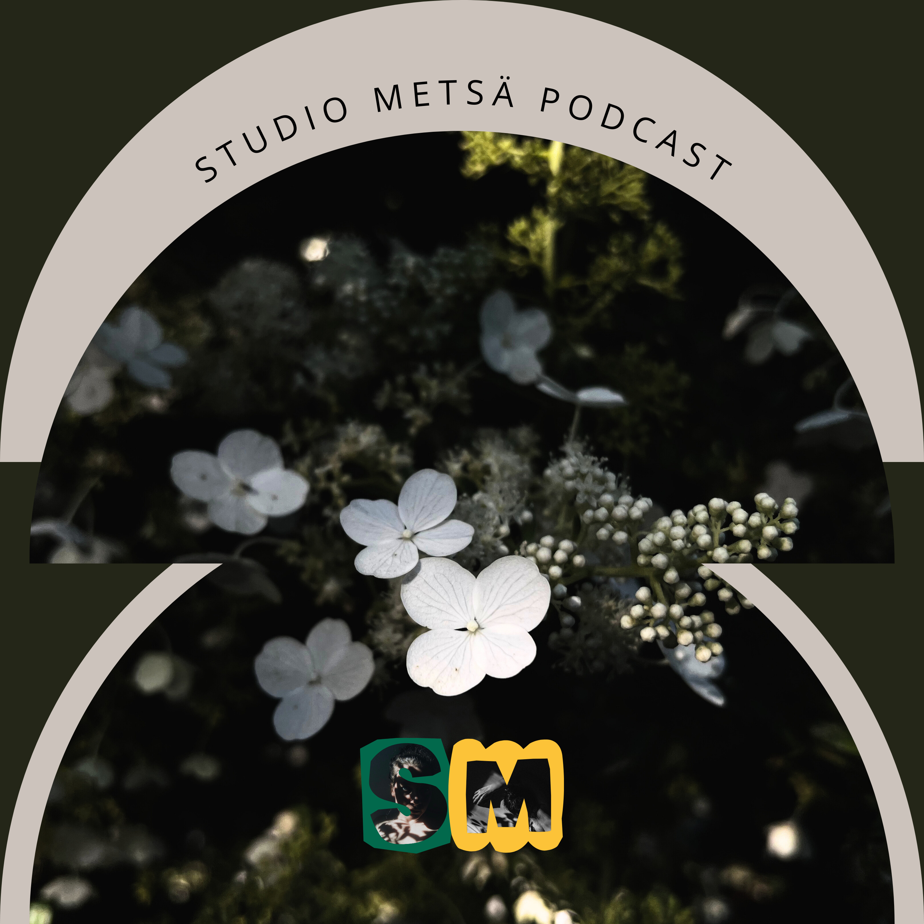 Studio Metsä