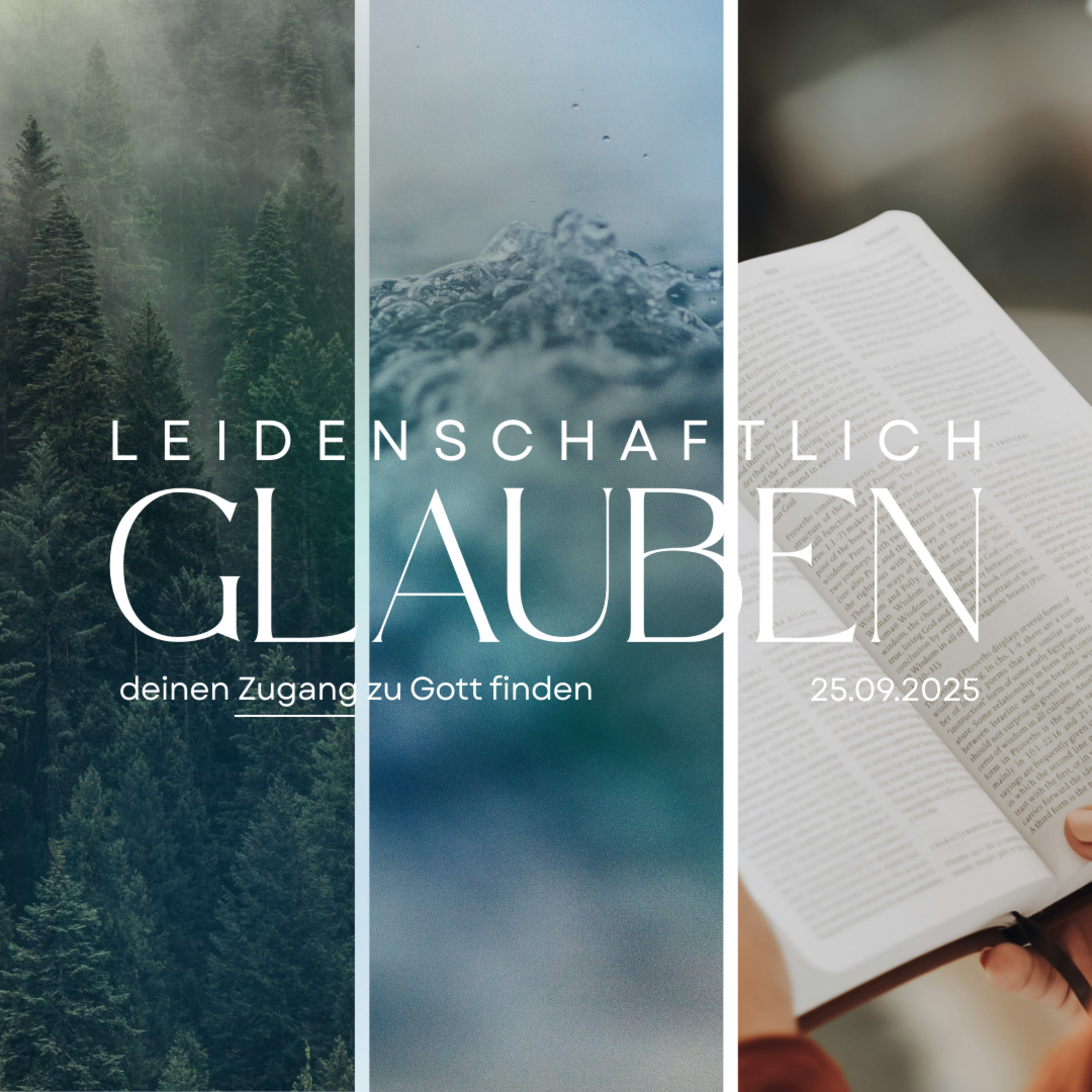 Leidenschaftlich Glauben – Gott offenbart sich in der Schöpfung und in Gesetzmäßigkeiten | Zeugnisse episode artwork