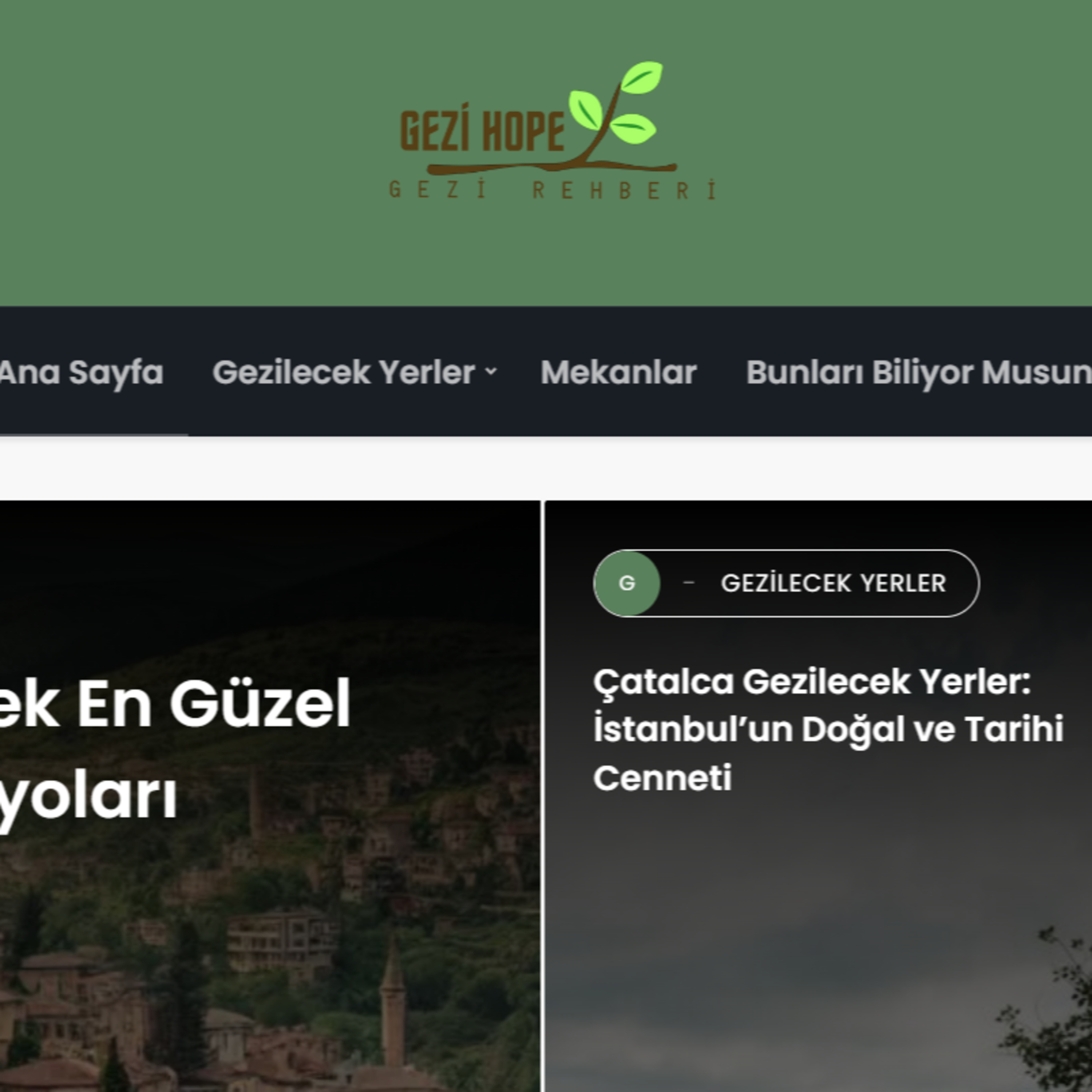 Gezihope.com episode artwork