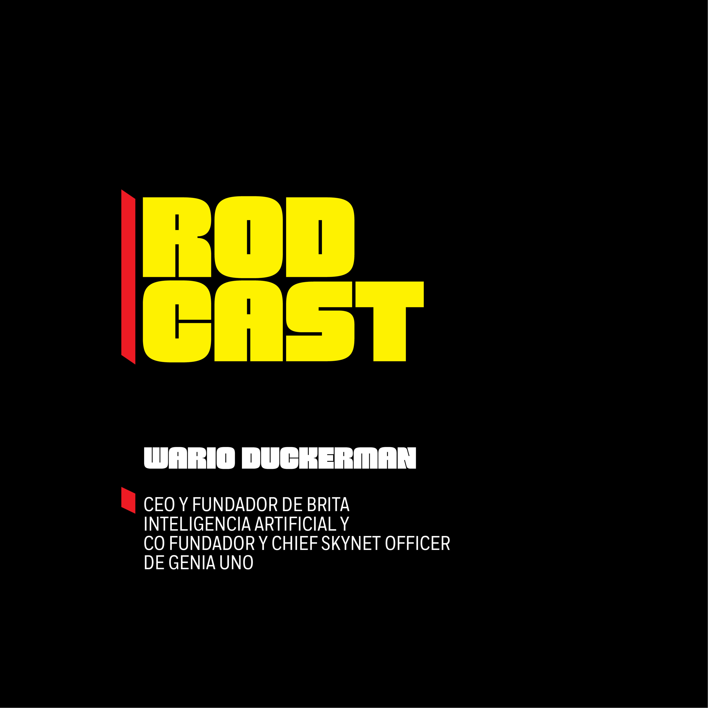 T2 E33 Wario Duckerman CEO y fundador de Brita Inteligencia Artificial y co fundador y Chief Skynet Officer de Genia Uno