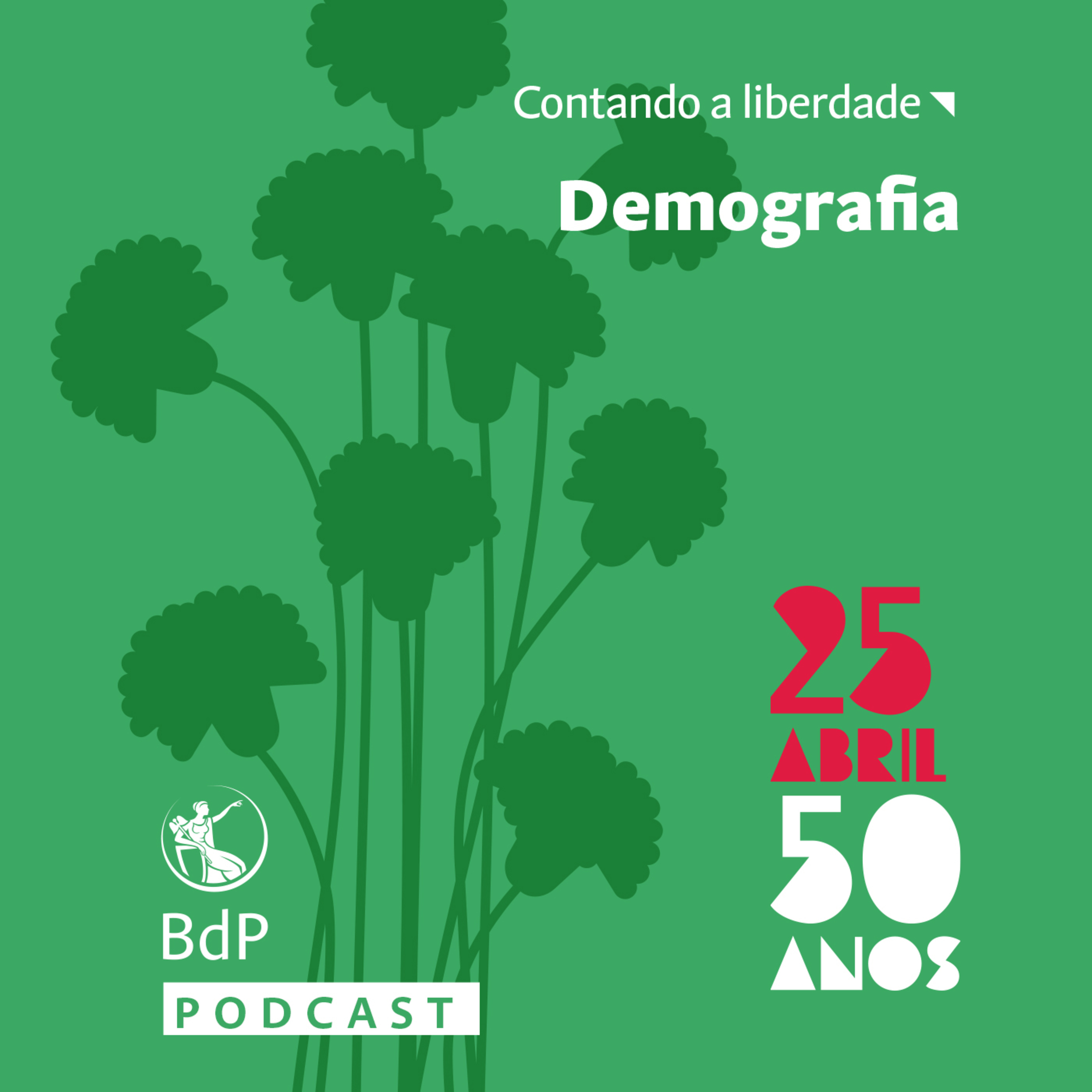 Contando a Liberdade: demografia