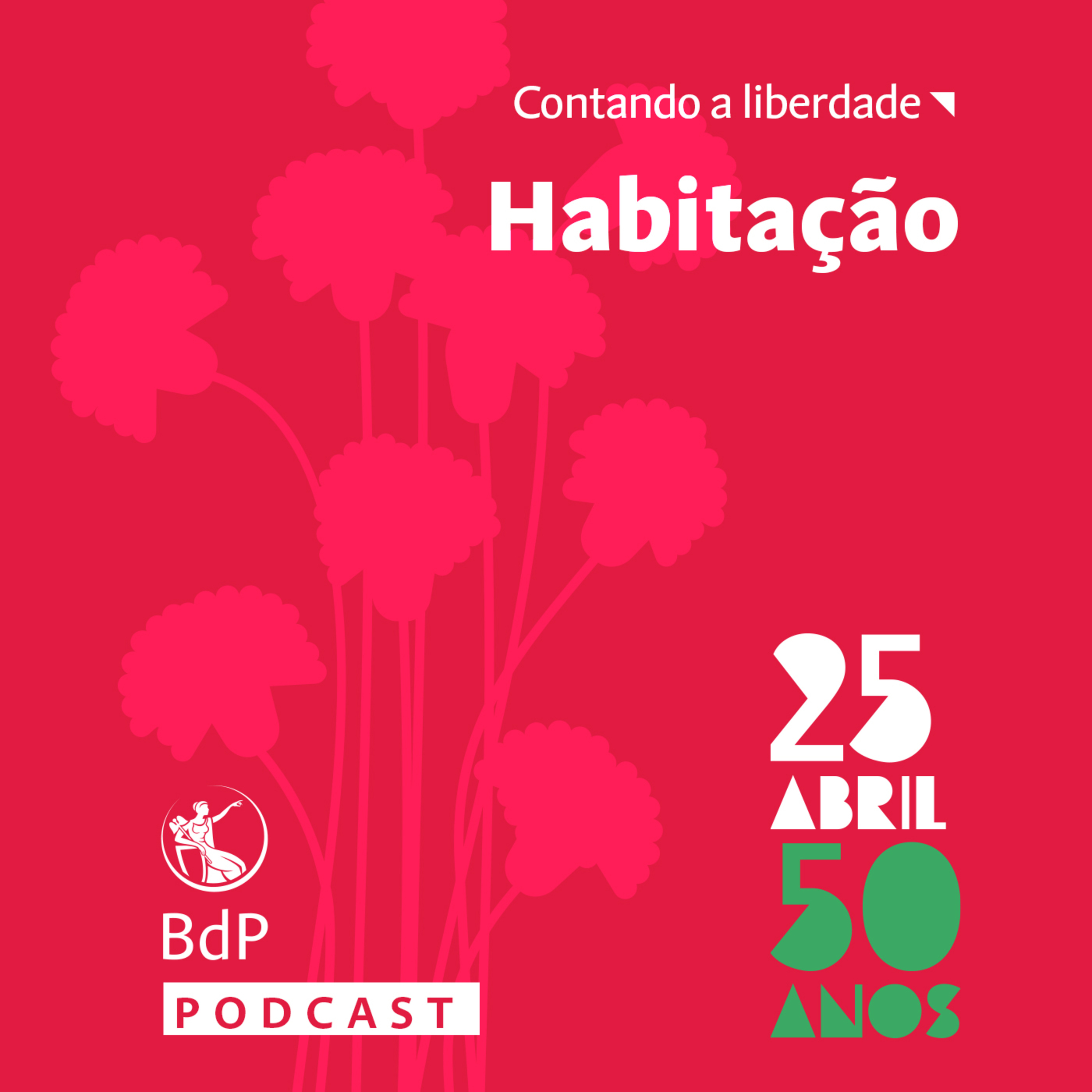 Contando a Liberdade: Habitação
