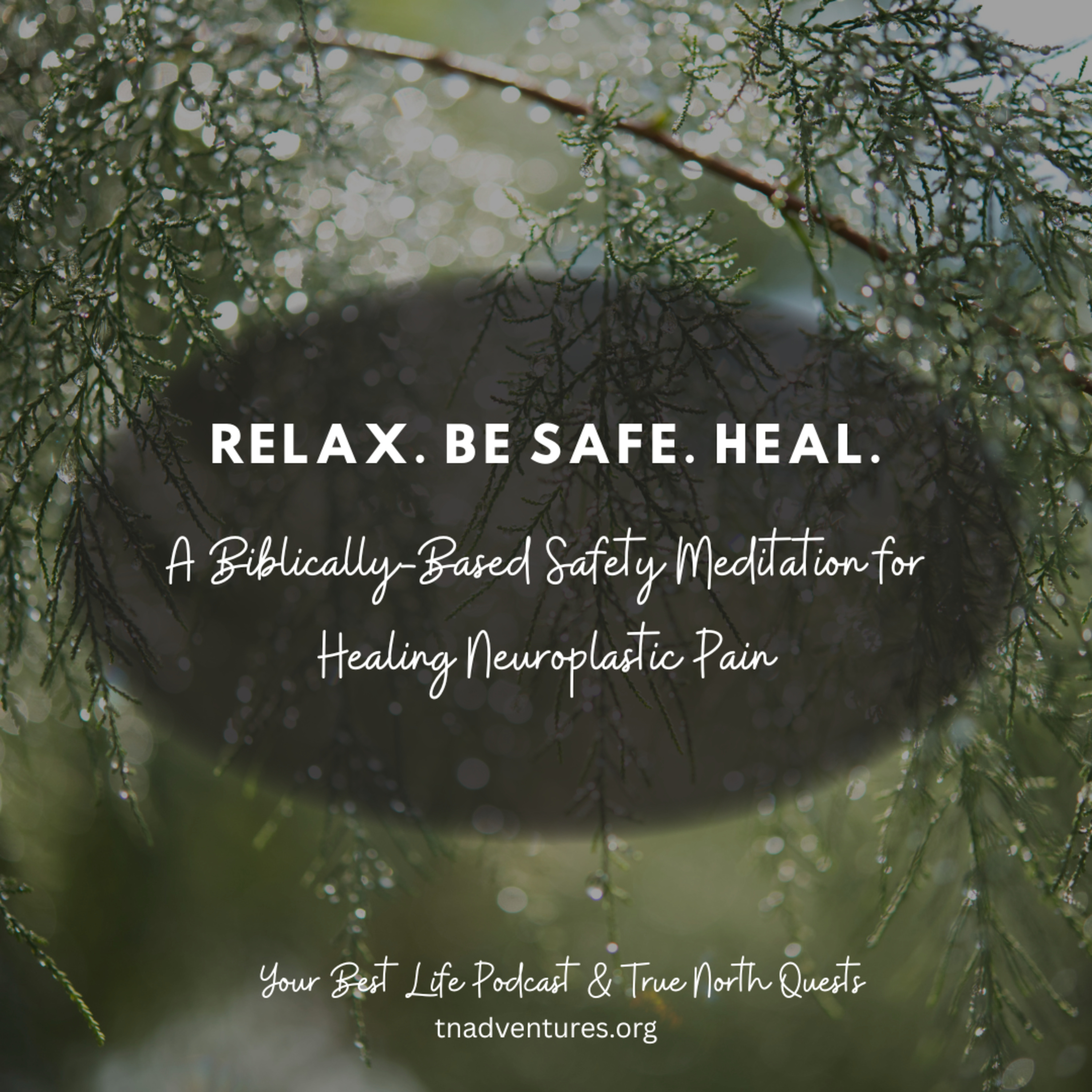 Your Best Life Podcast - Discover Your Calling