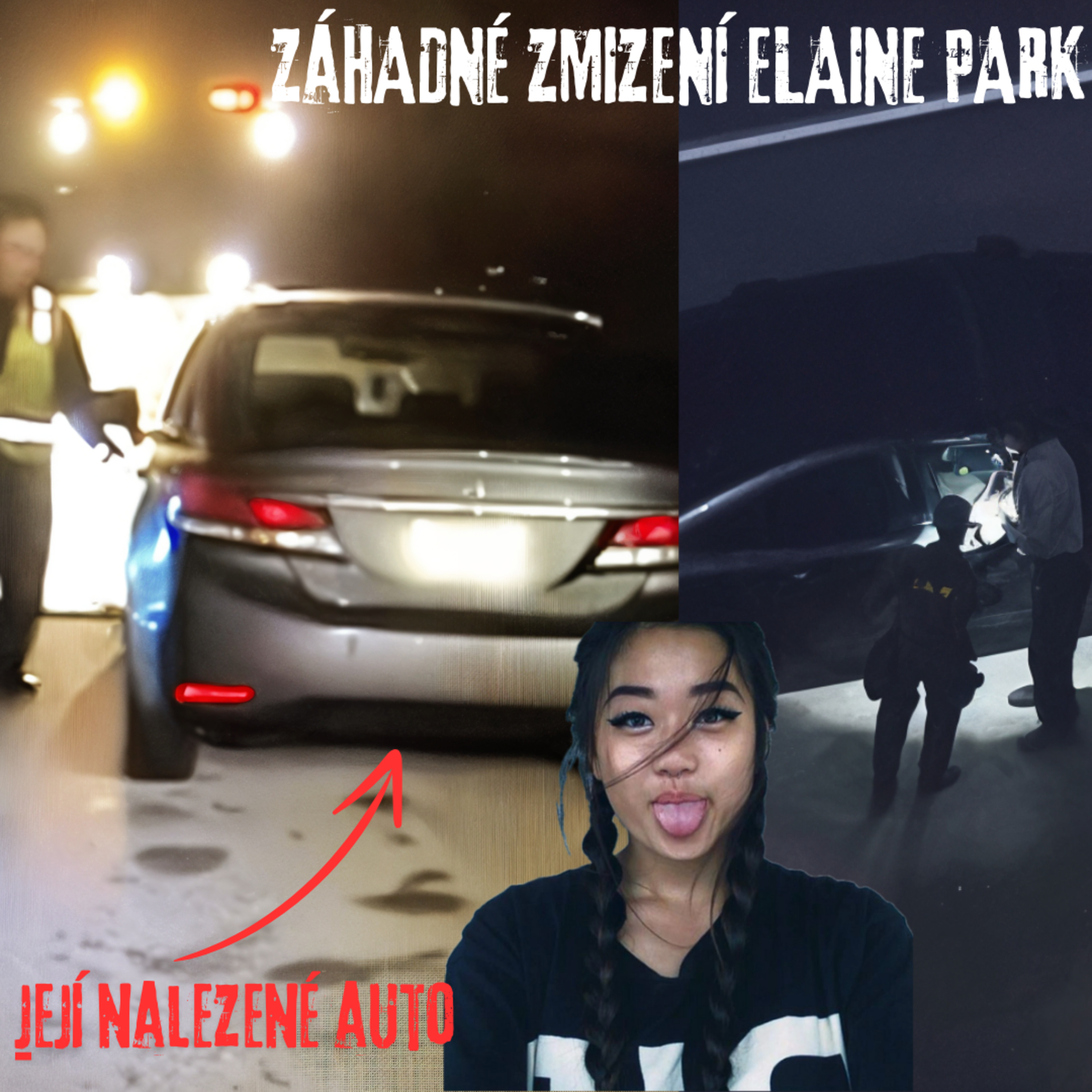 ZÁHADNÉ ZMIZENÍ ELAINE PARK - NEVYŘEŠENÁ ZÁHADA / TRUECRIME