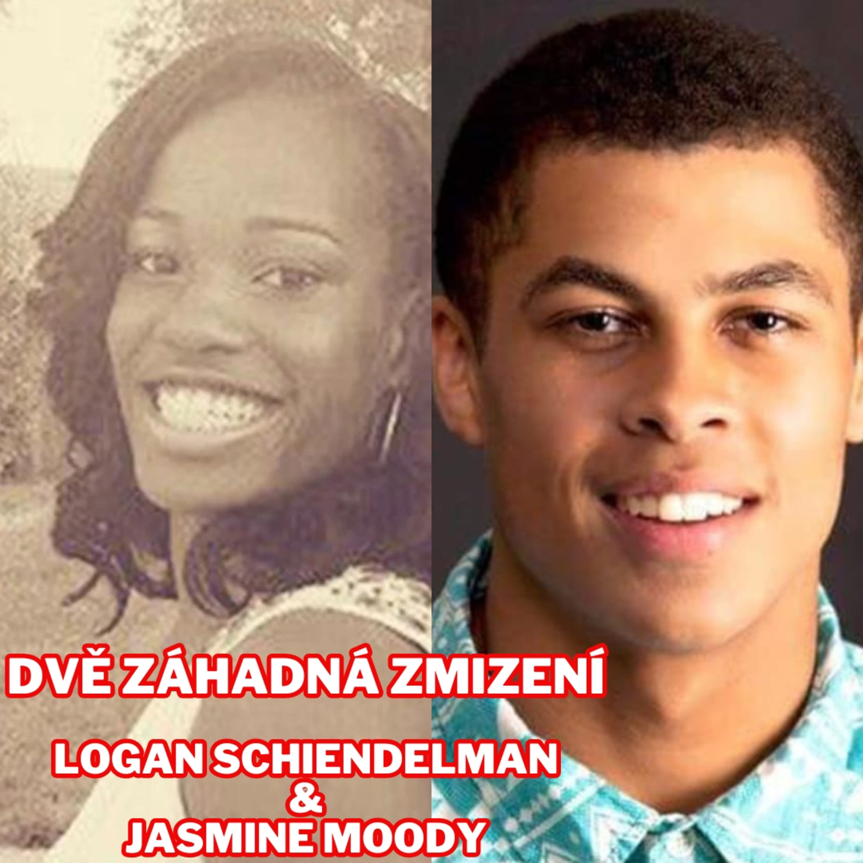 DVA PŘÍPADY ZMIZENÍ - LOGAN SCHIENDELMAN & JASMINE MOODY