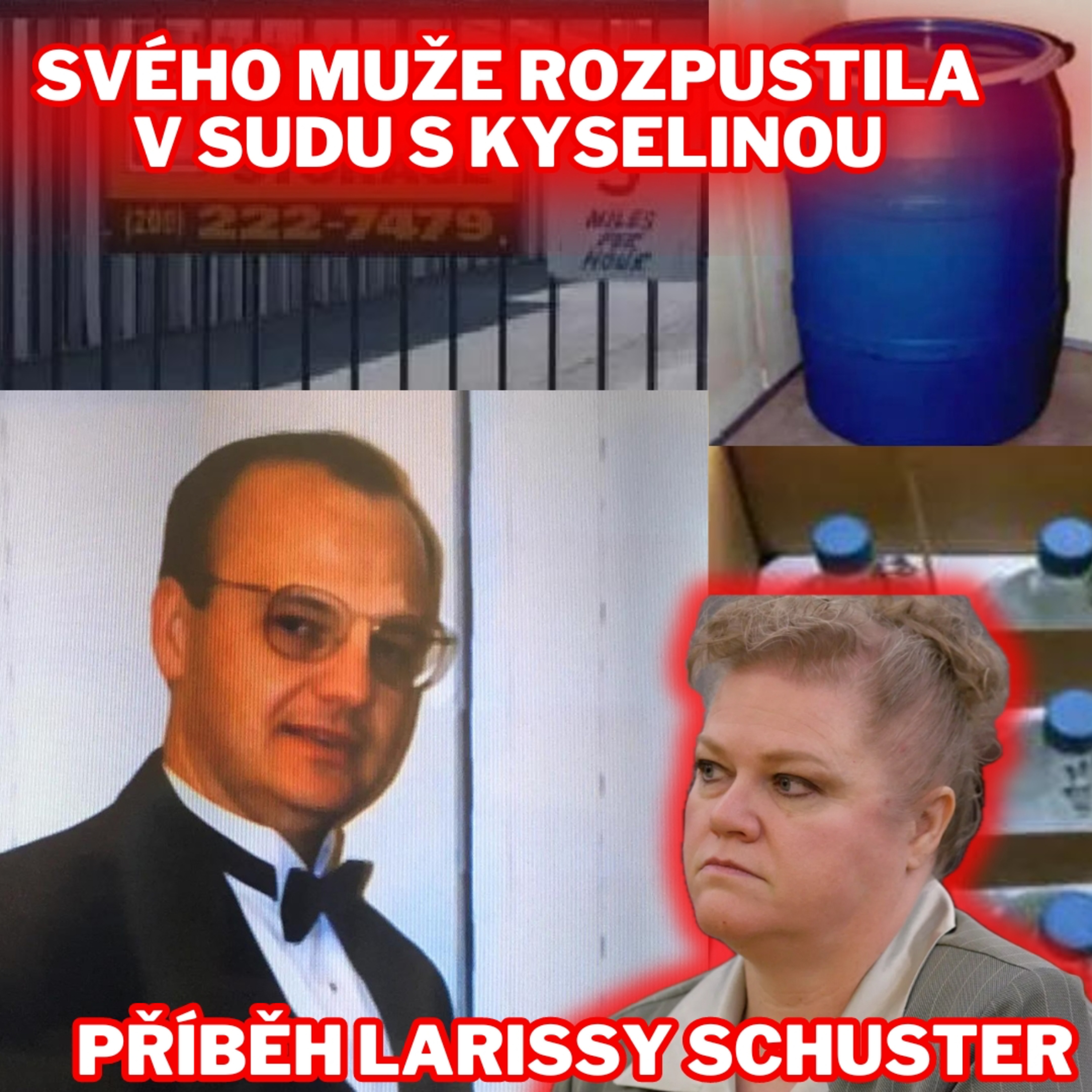 SVÉHO MUŽE ROZPUSTILA V SUDU S KYSELINOU - PŘÍBĚH LARISSY SCHUSTER