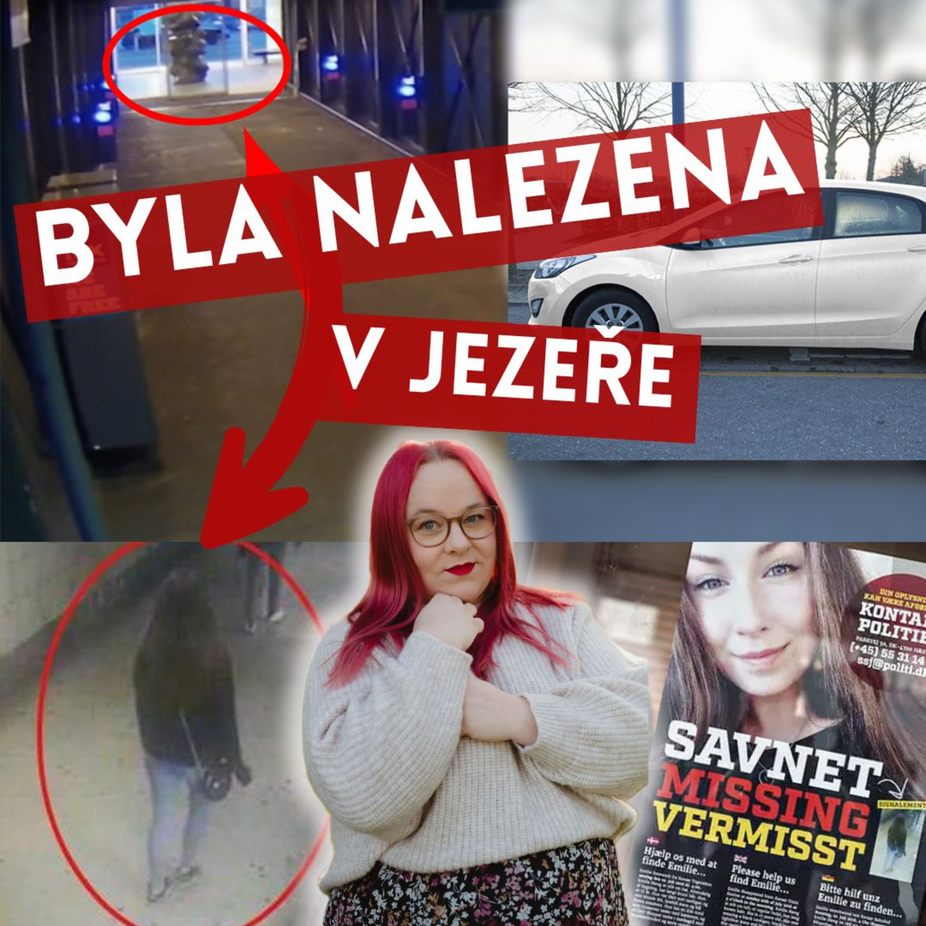 ZMIZELA, KDYŽ SE VRACELA DOMŮ. VRAH BYL NÁHODOU VYPÁTRÁN PO 7 LETECH! - PŘÍBĚH EMILIE MENG episode artwork