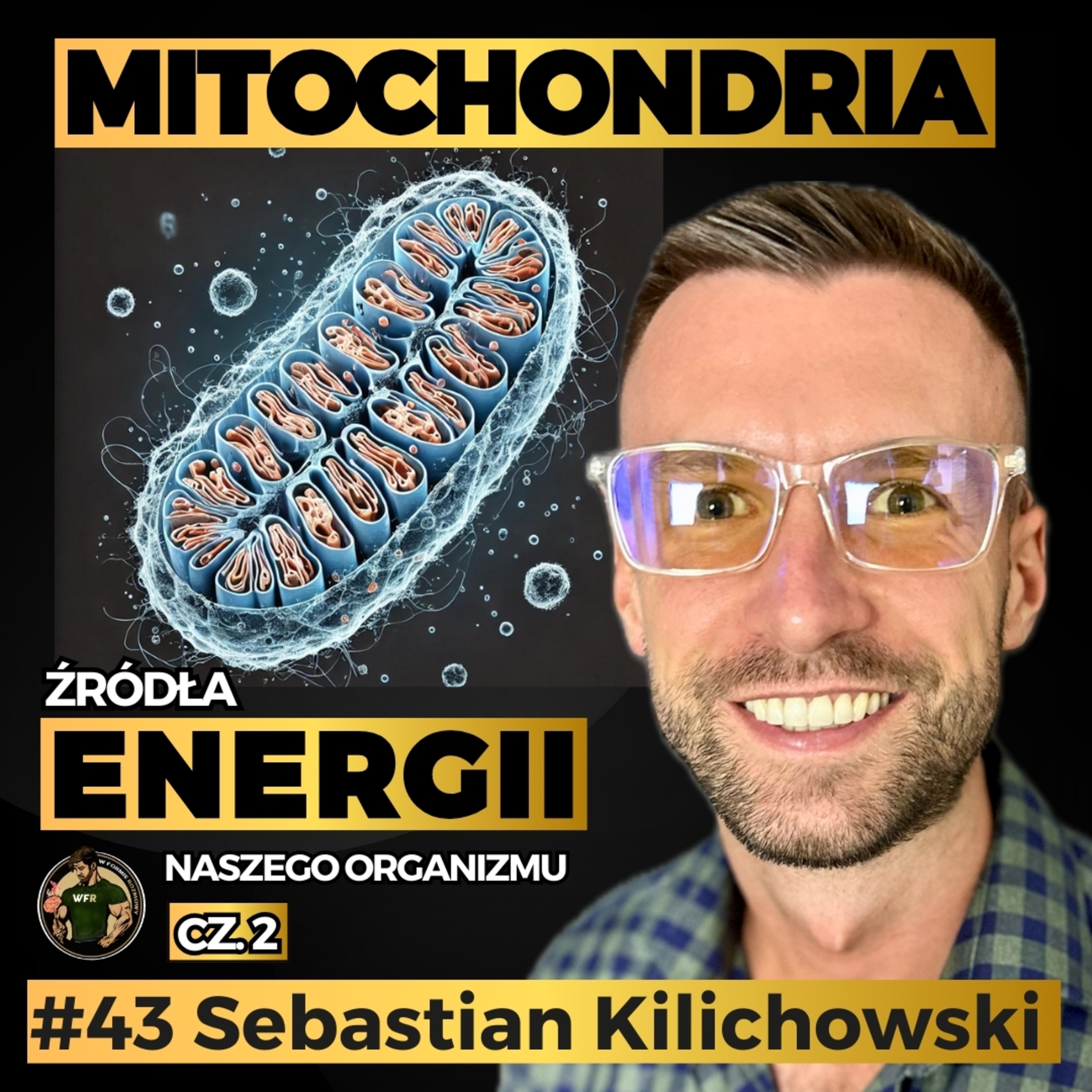 Wszystko Co Musisz Wiedzieć o Zwiększaniu Poziomu Energii i Długowieczności | Sebastian Kilichowski | W Formie Rozmowy episode artwork