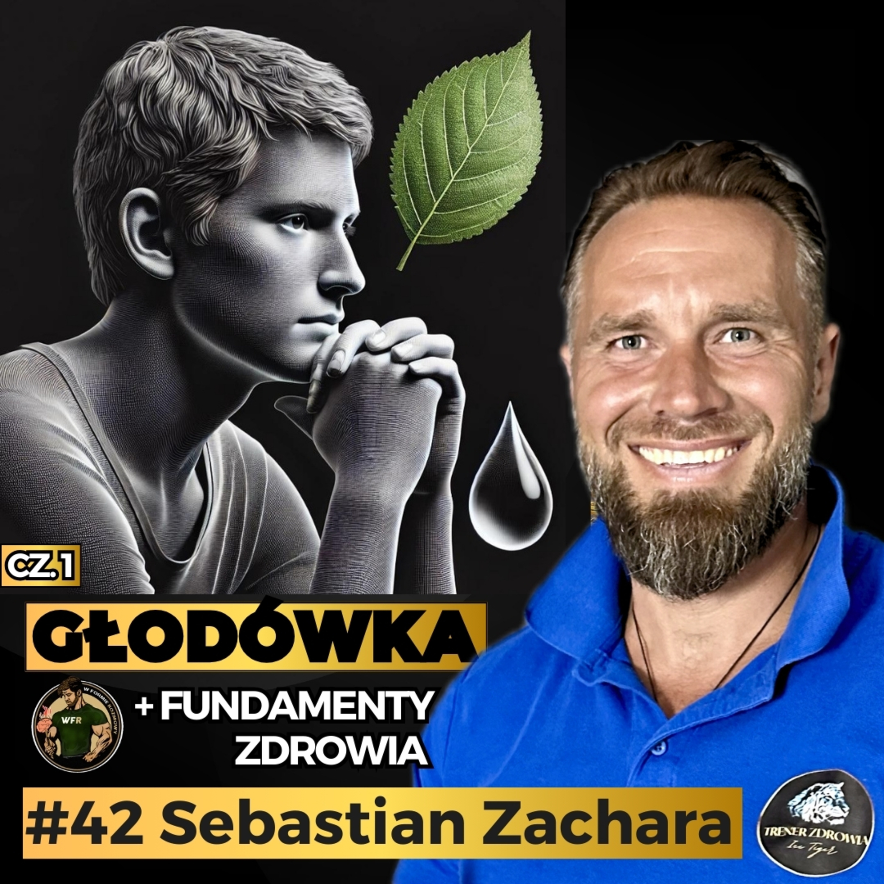 Wszystko Co Musisz Wiedzieć o Głodówce, Jaką Wodę Pić? Co Jeść? Czego Nie Jeść? Suplementacja | Sebastian Zachara | W Formie Rozmowy episode artwork