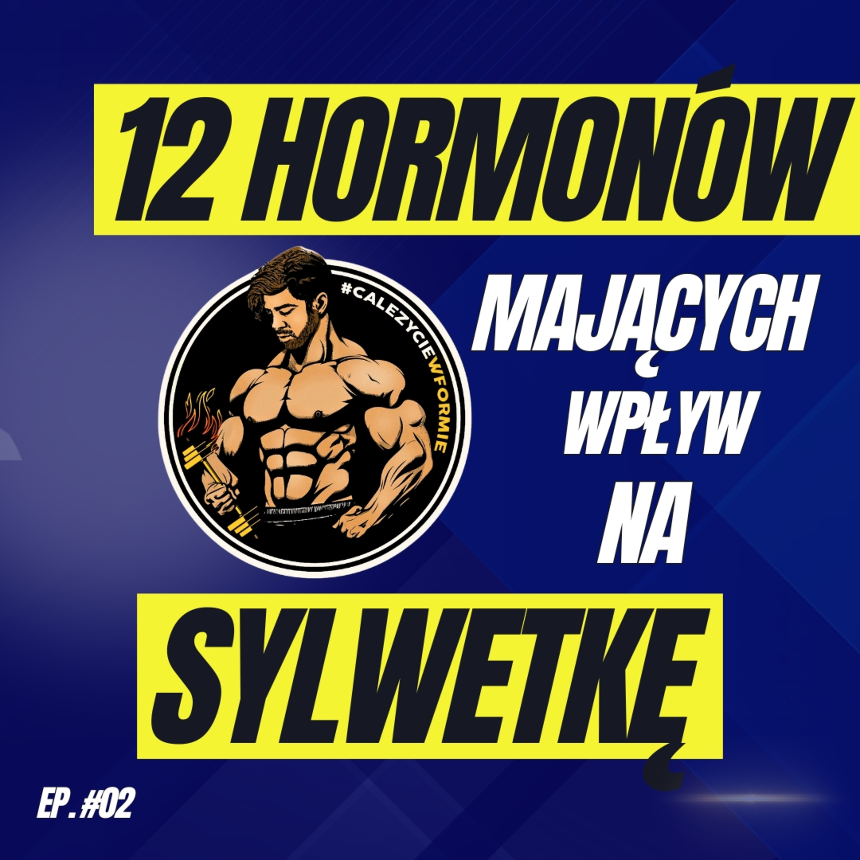 Jak Hormony i Neuroprzekaźniki Zmieniają Sylwetkę? Optymalizacja Hormonów = Lepsza Forma | HYB Ep. 02 episode artwork
