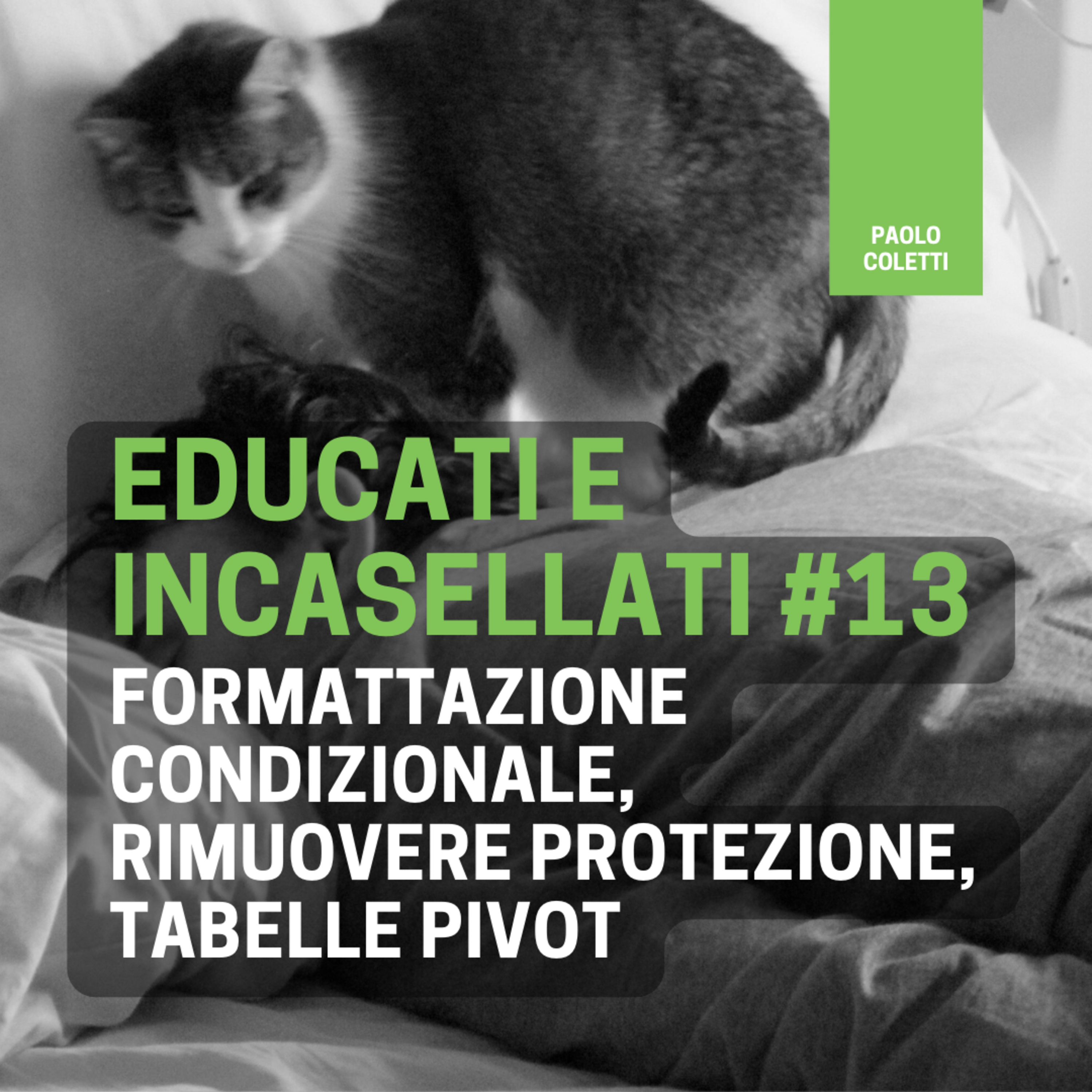 Educati e Incasellati