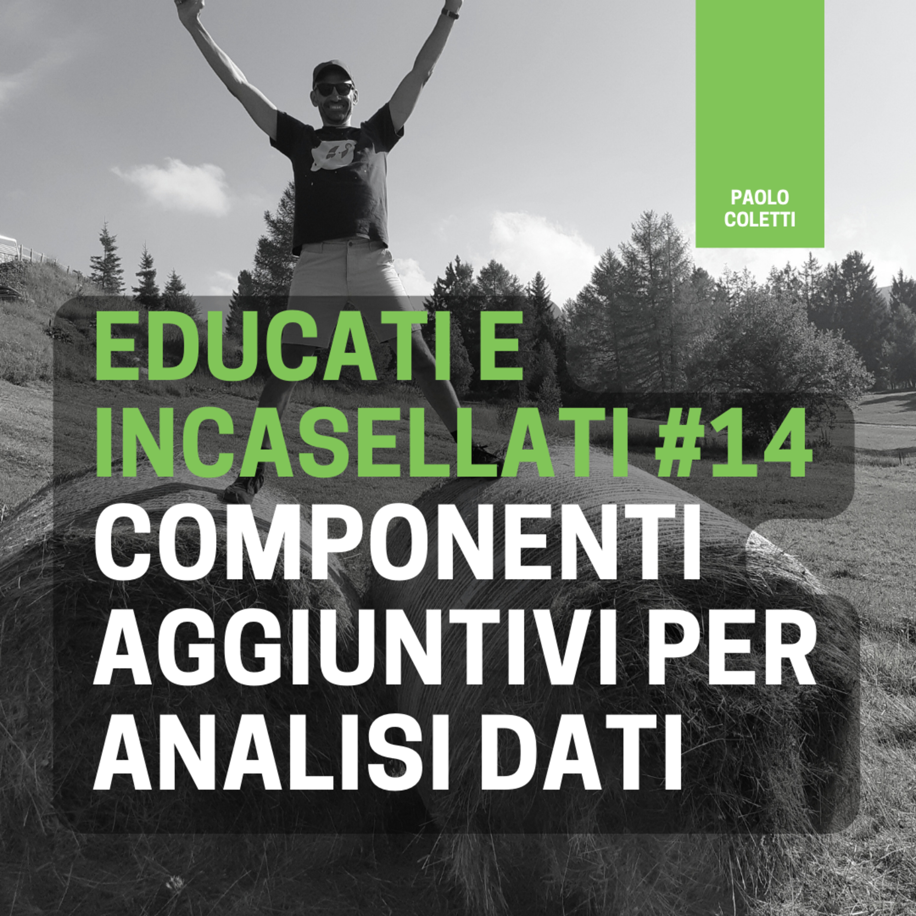 Educati e Incasellati
