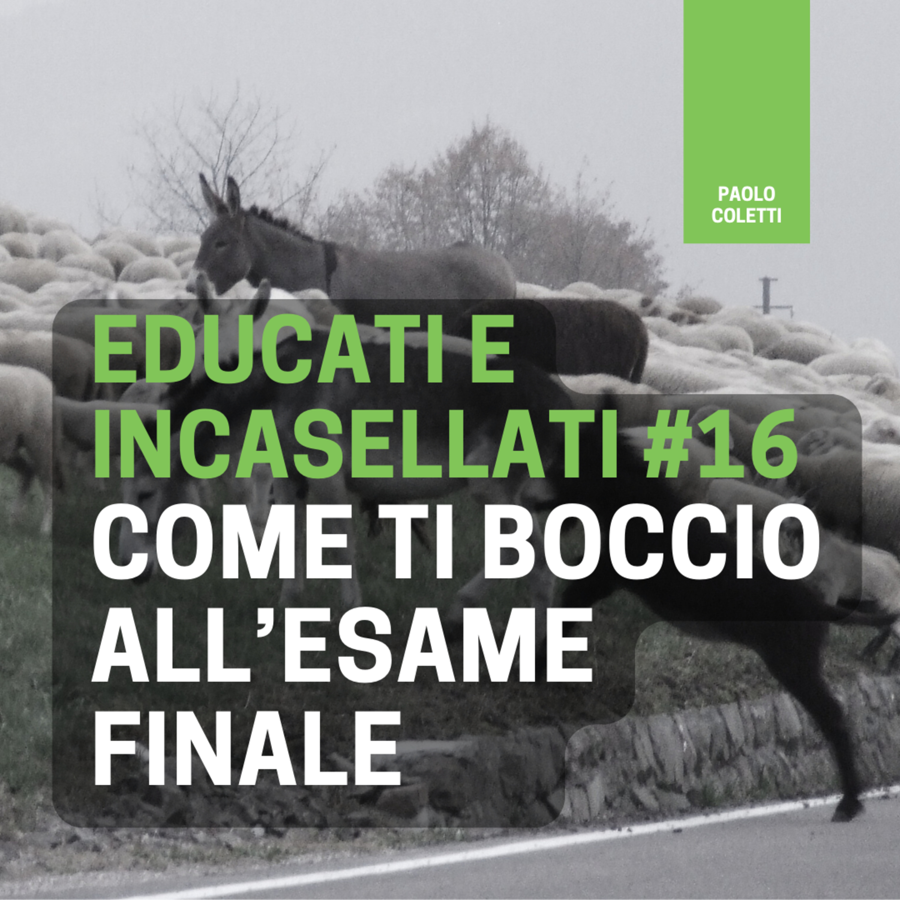 Educati e Incasellati