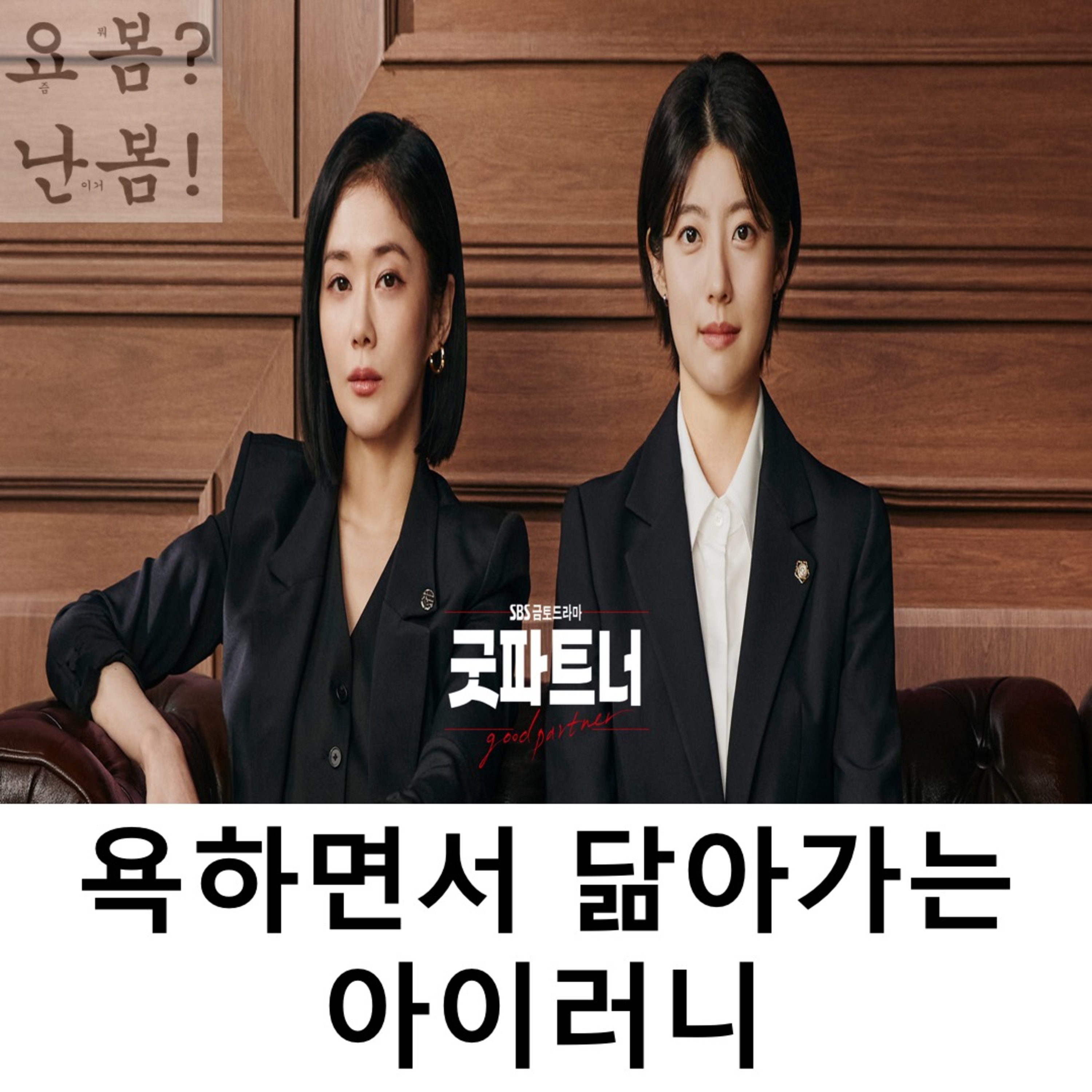 EP. 34 《굿파트너》 - 욕하면서 닮아가는 아이러니 episode artwork