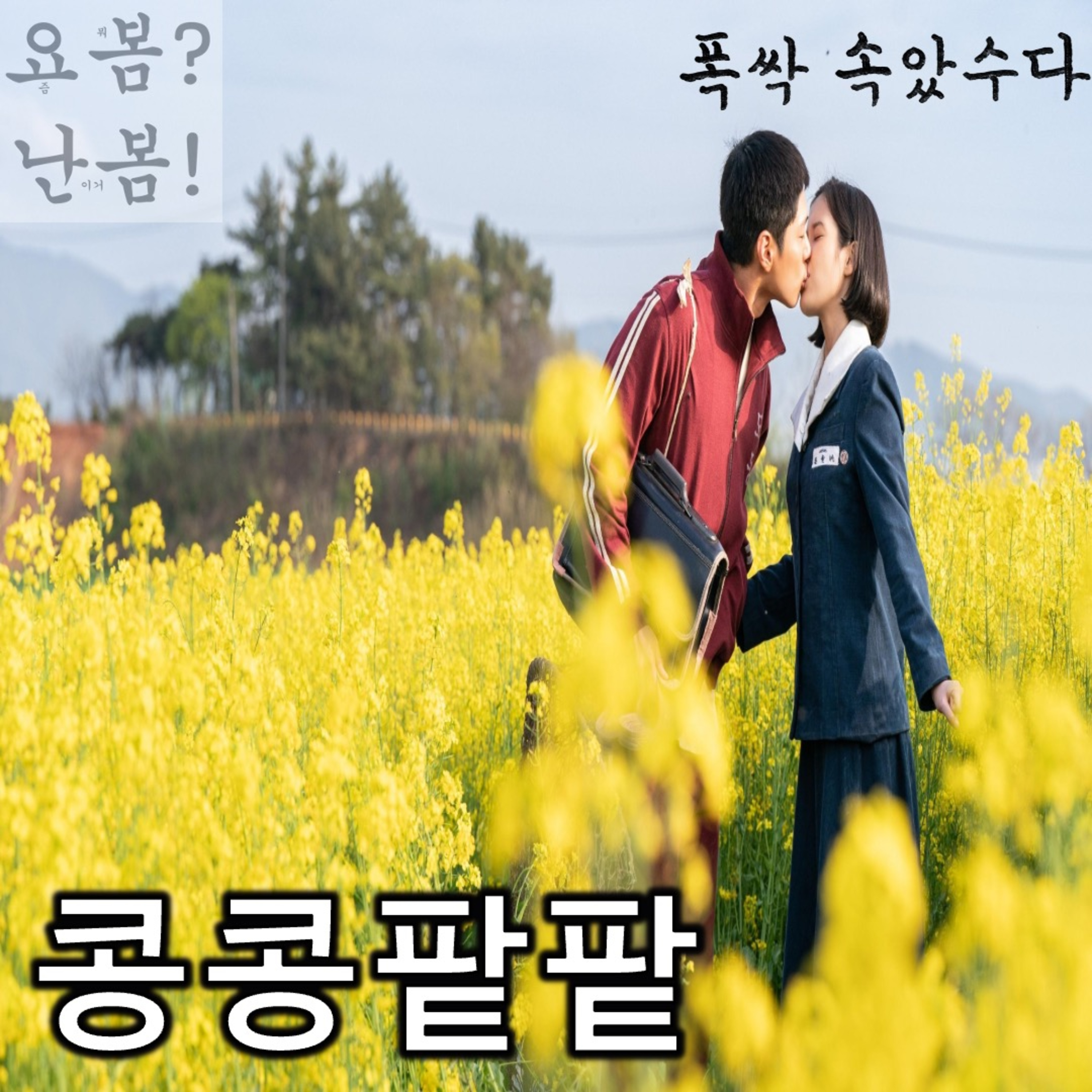 EP. 72 《폭싹 속았수다》 - 70년 인생을 16시간 안에 녹여내 6음절로 압축한 ‘인생’이란 시 episode artwork