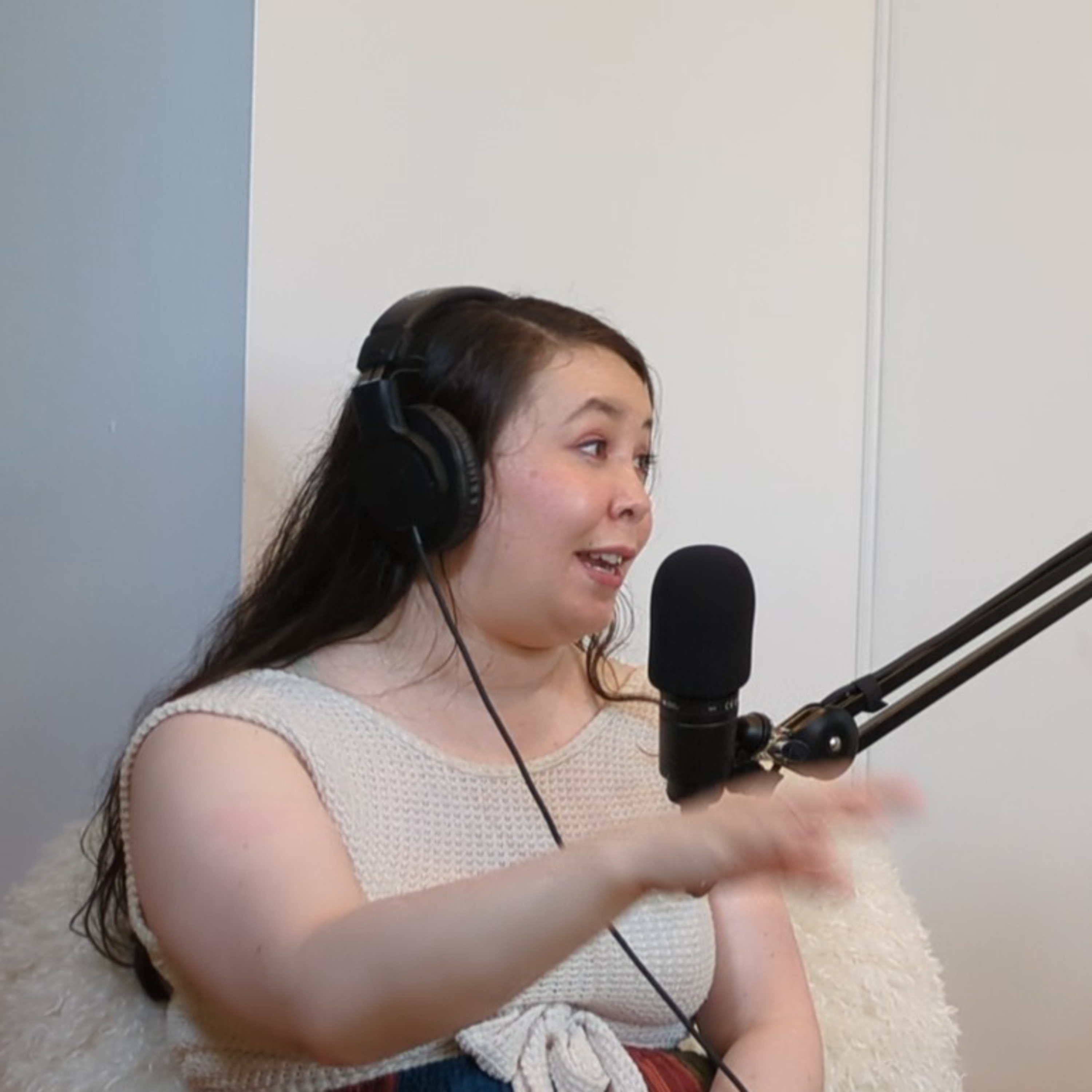 The Karen Mitches Podcast