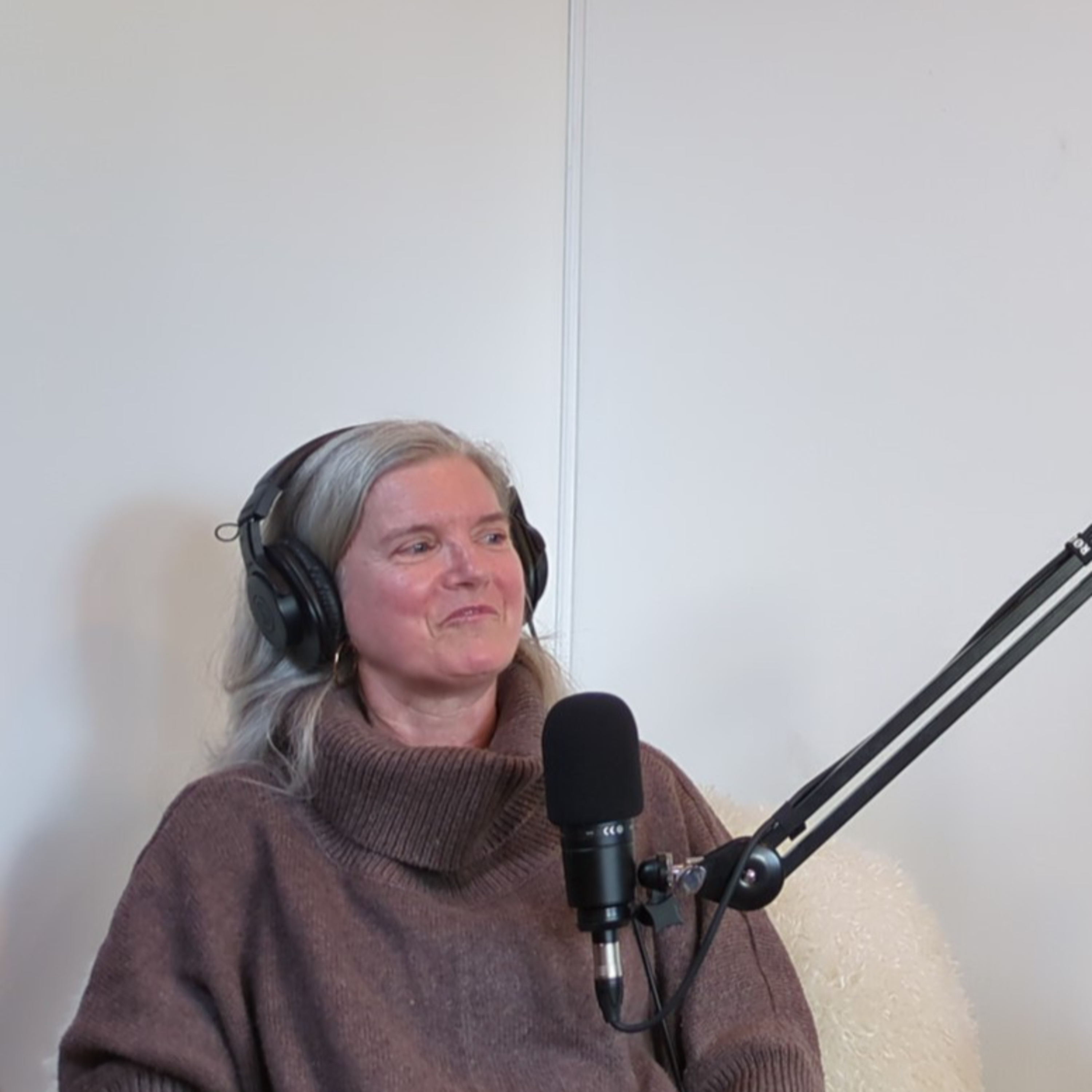 The Karen Mitches Podcast
