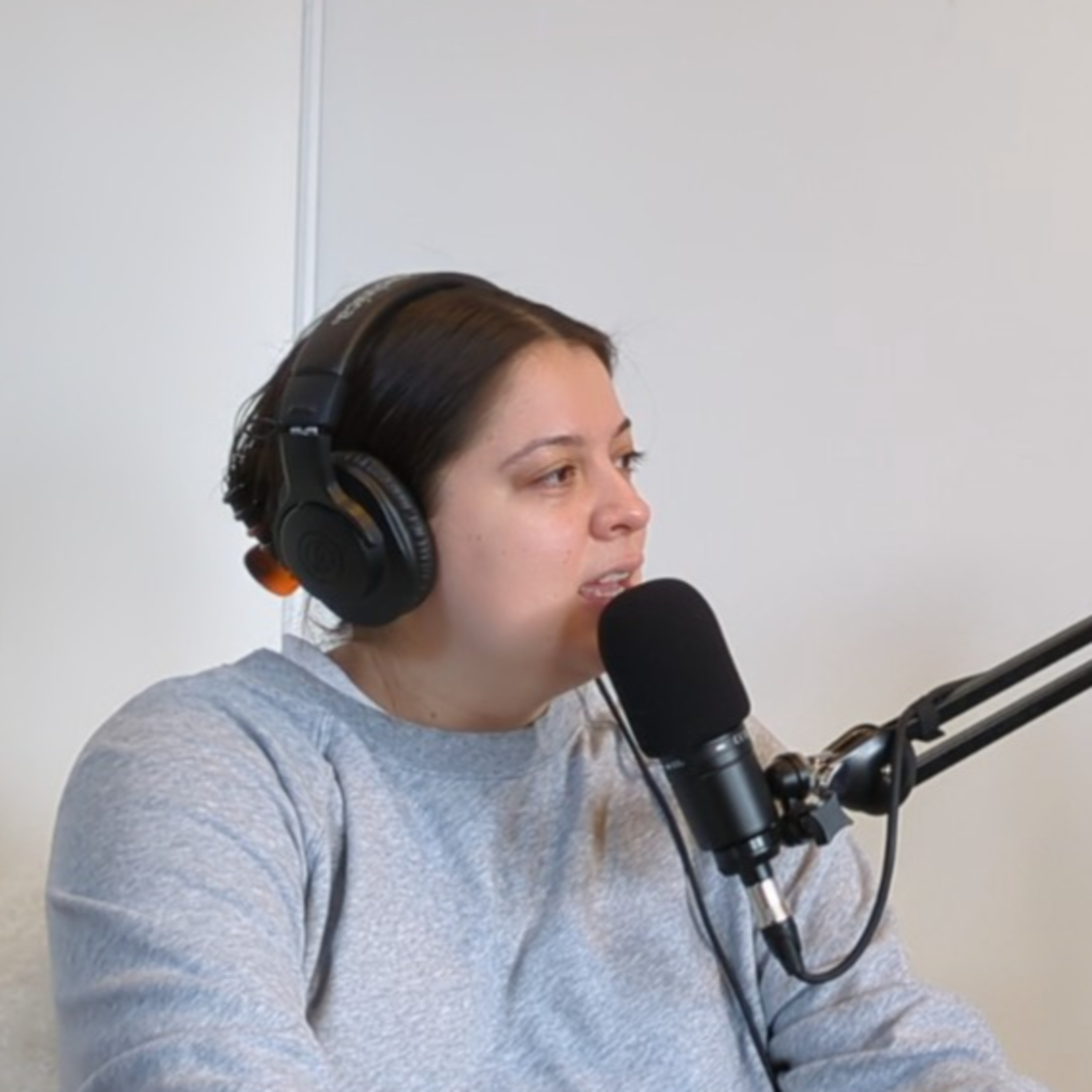 The Karen Mitches Podcast