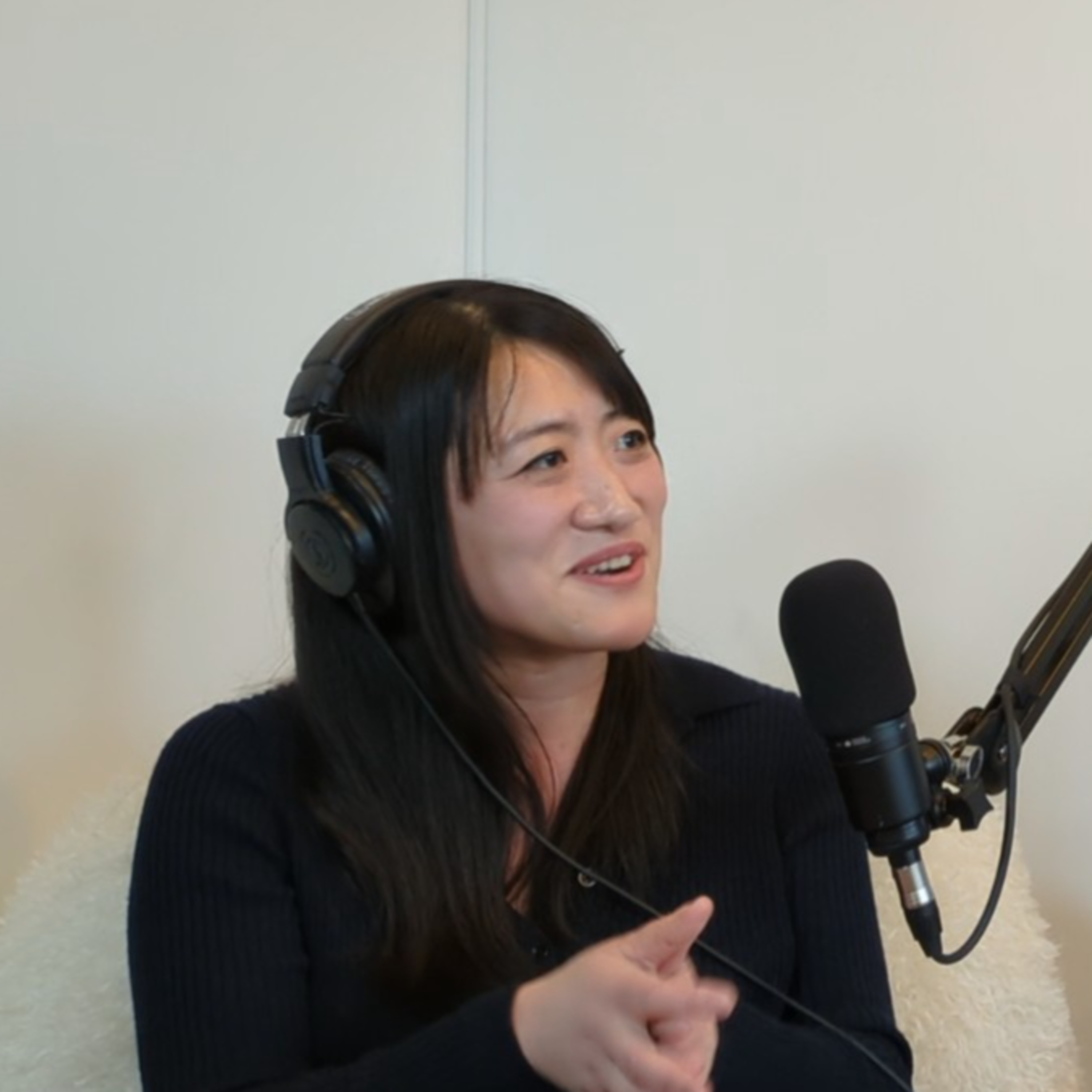 The Karen Mitches Podcast