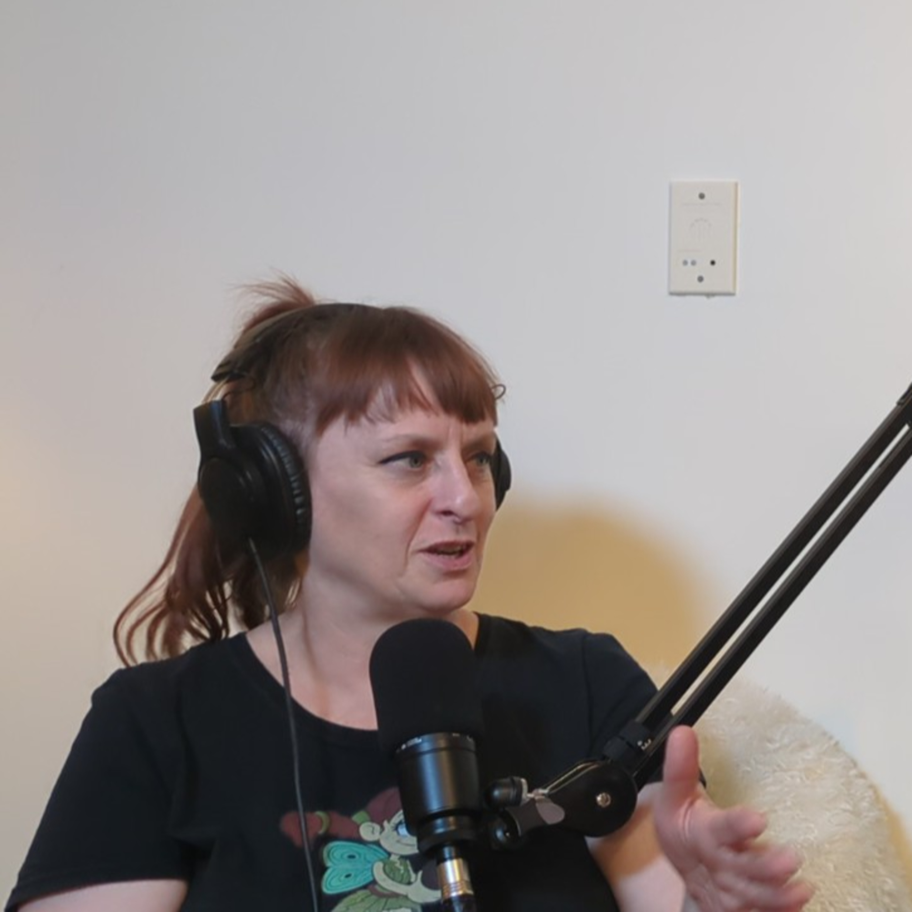 The Karen Mitches Podcast