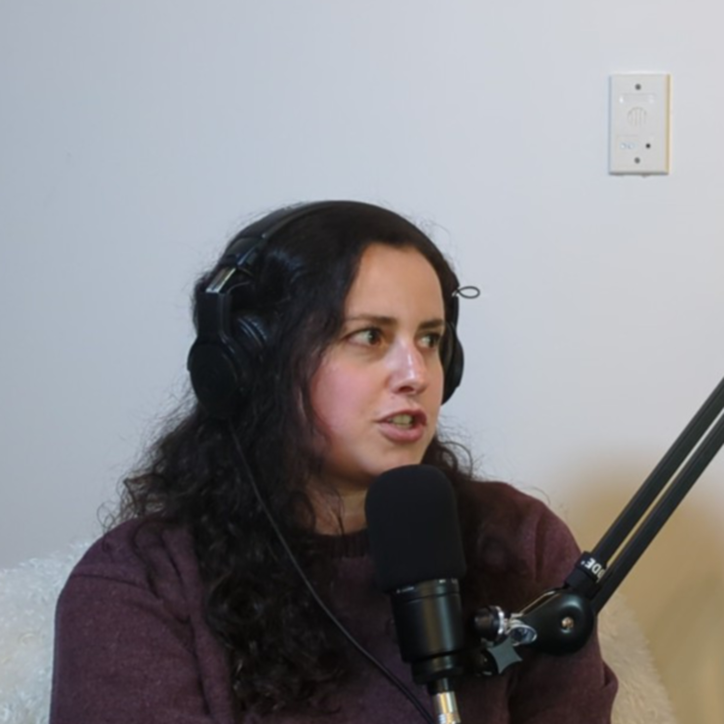 The Karen Mitches Podcast