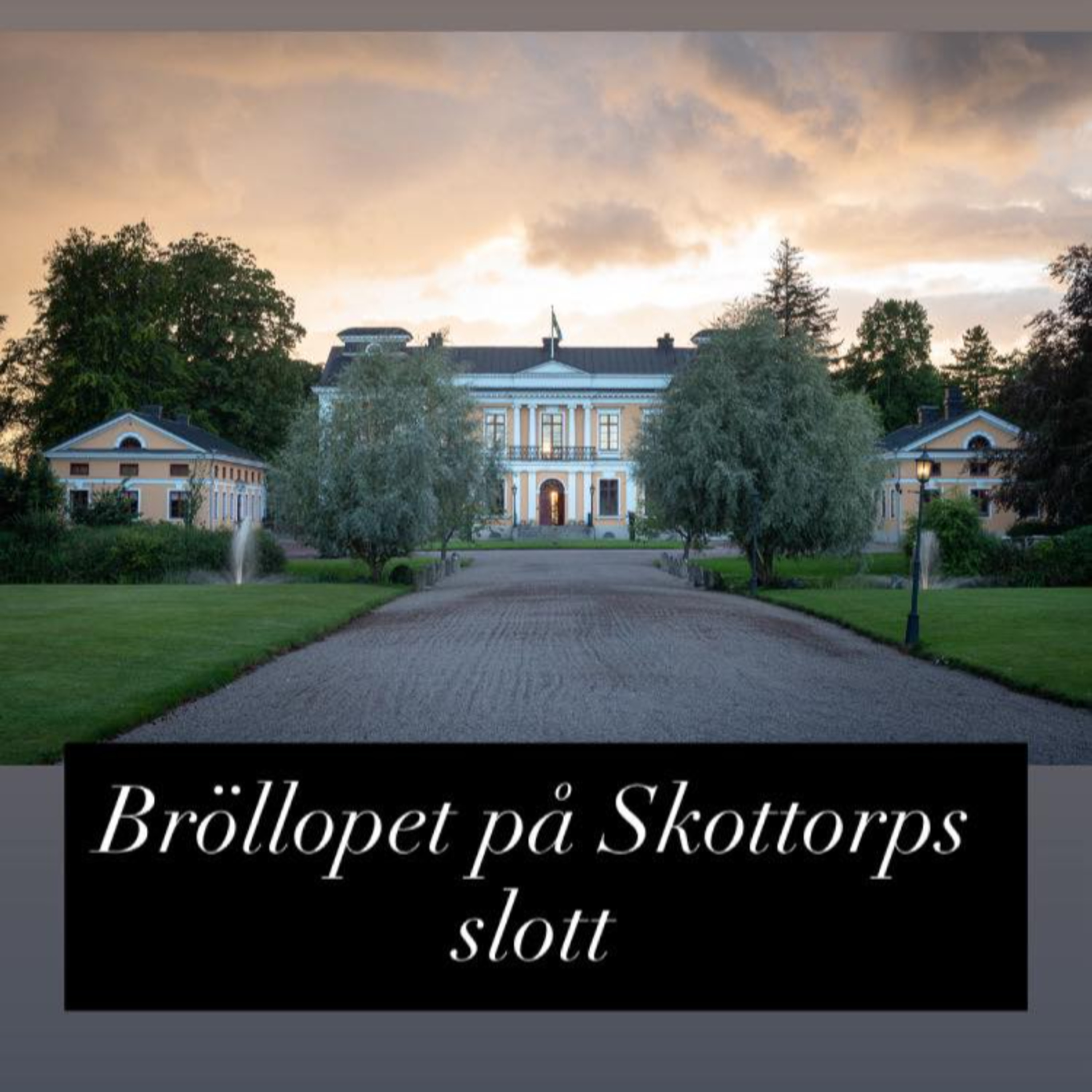 Varning För Rollspel