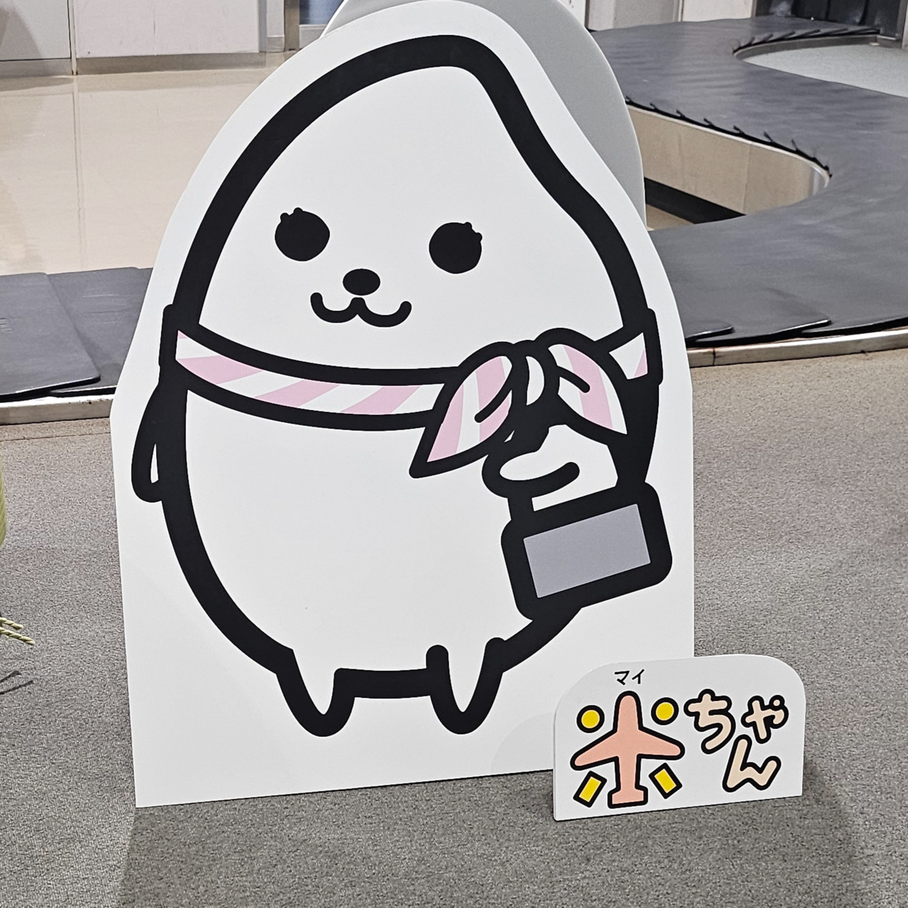 新潟最高！31回目