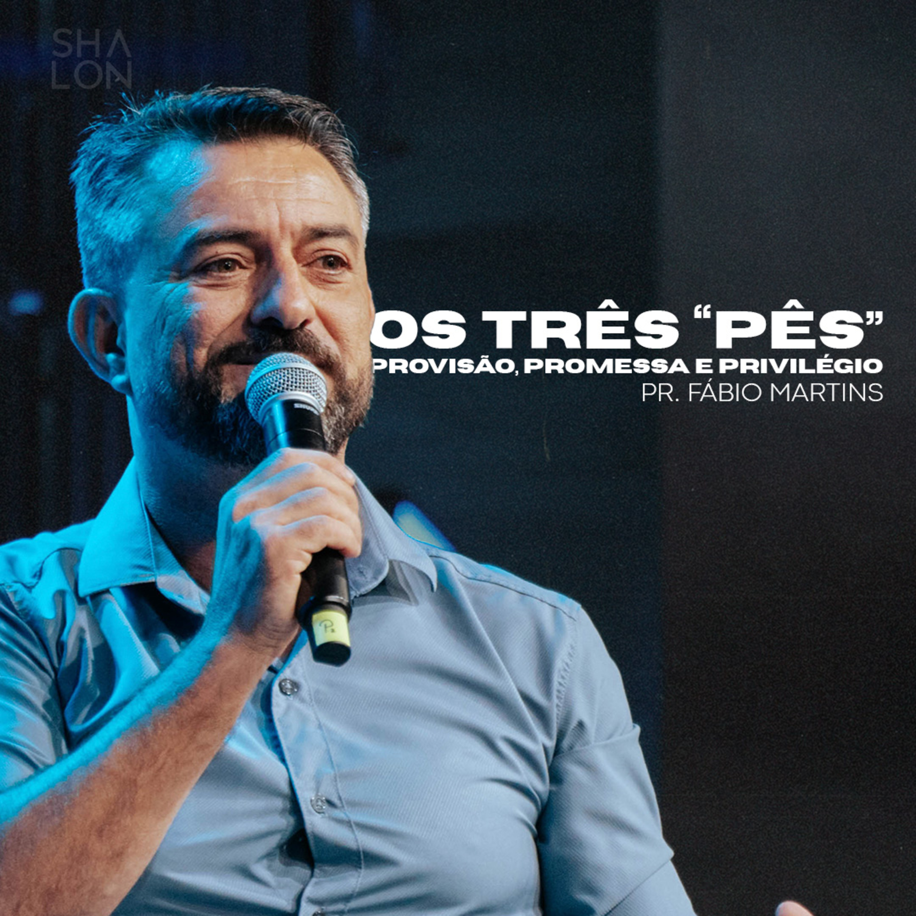 Os três "pês": Provisão, Promessa e Privilégio | Pr. Fábio Martins | Igreja Batista Shalon episode artwork