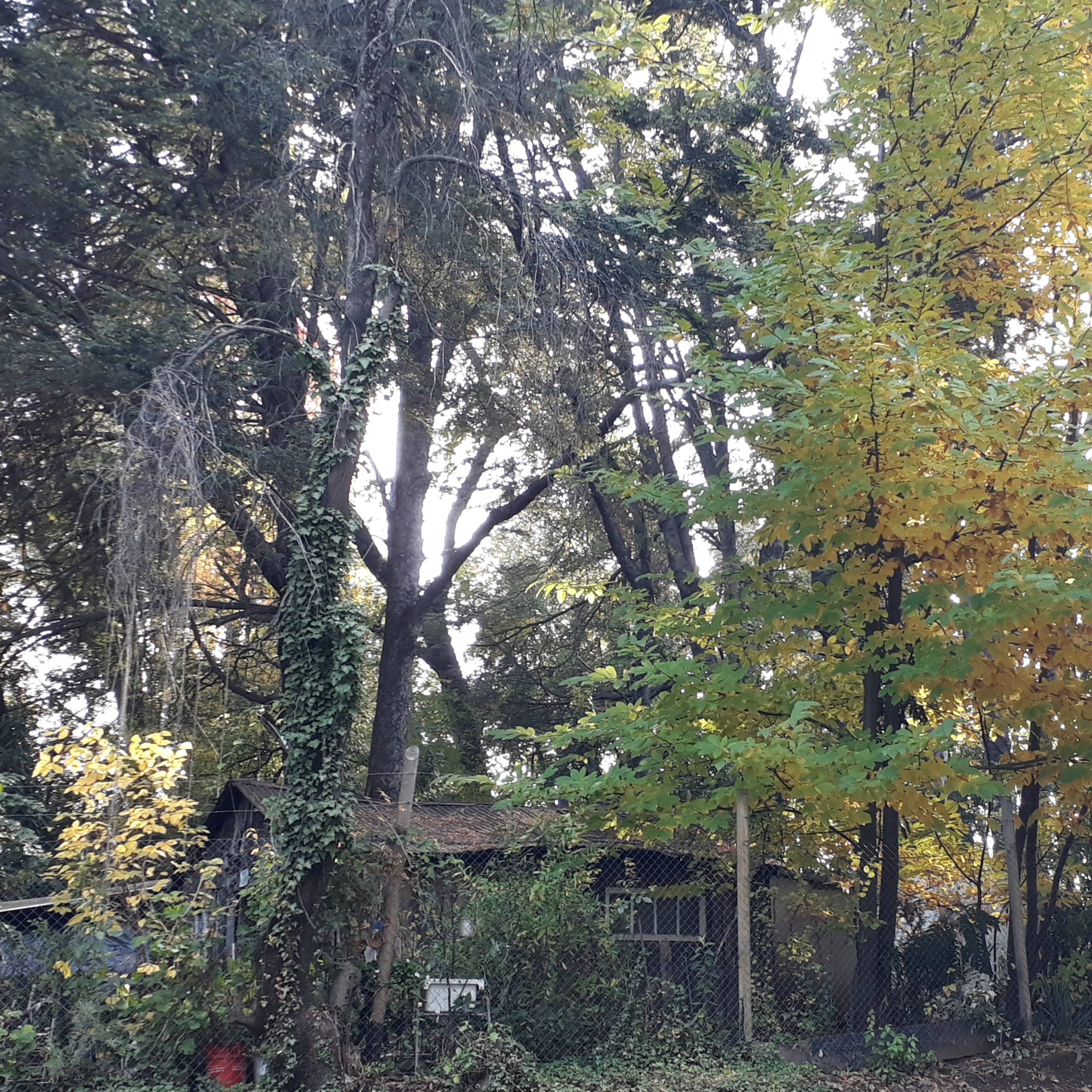 Ecos of Climate Change