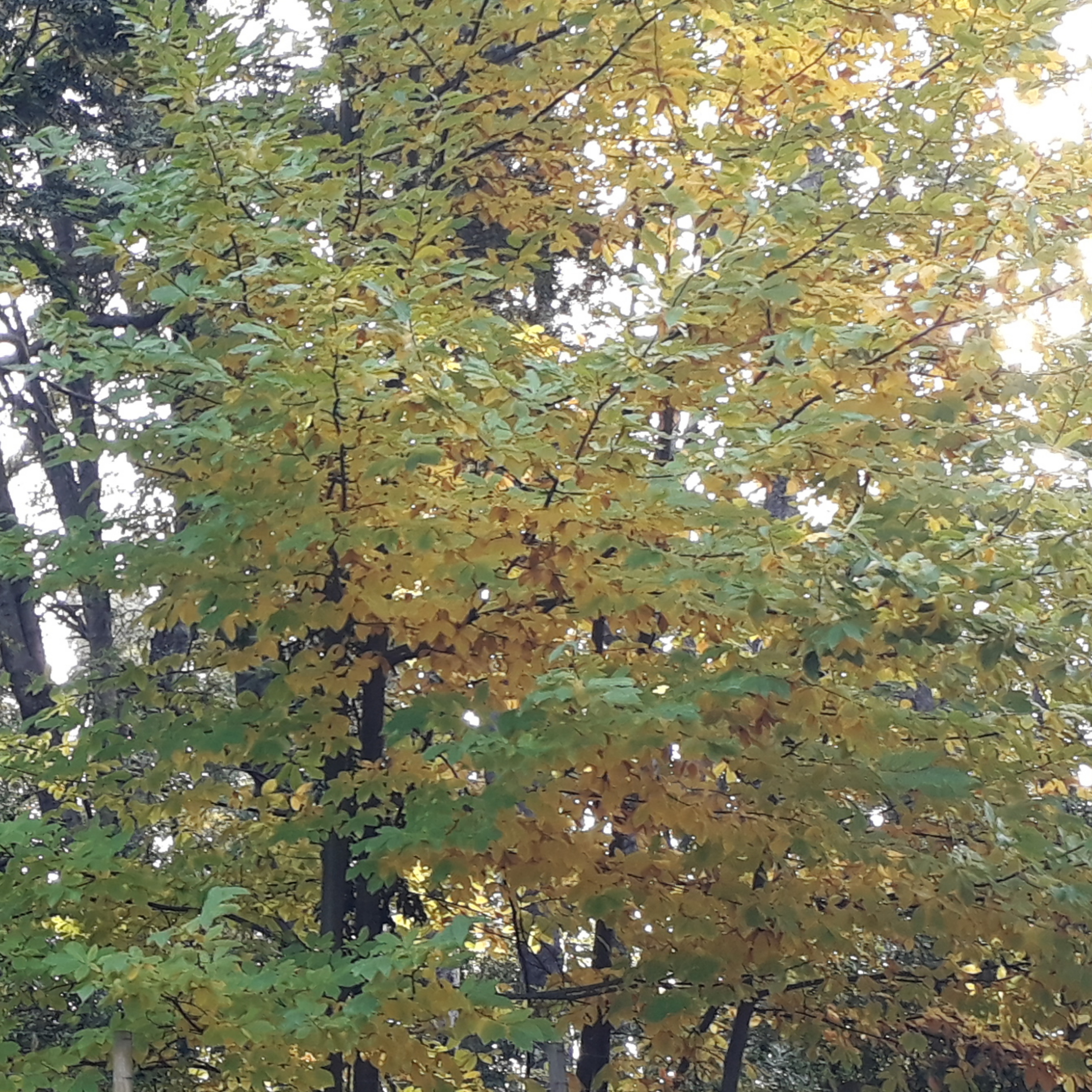 Ecos of Climate Change