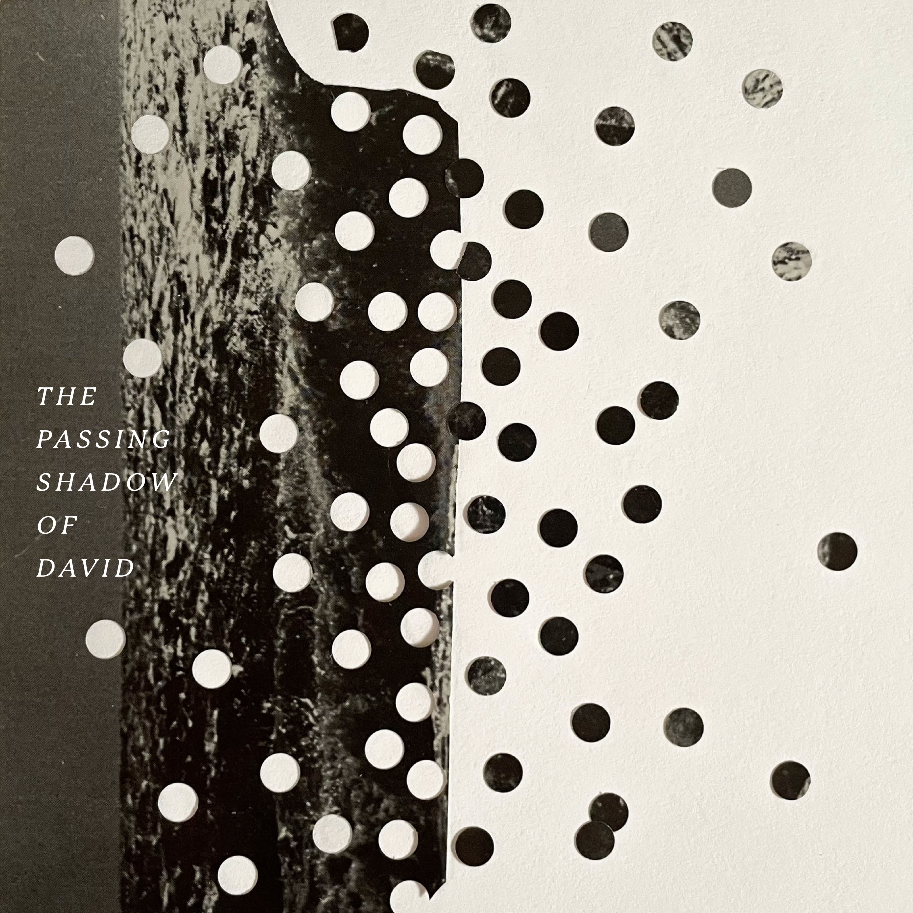 The Passing Shadow of David: The Passing Shadow episode artwork