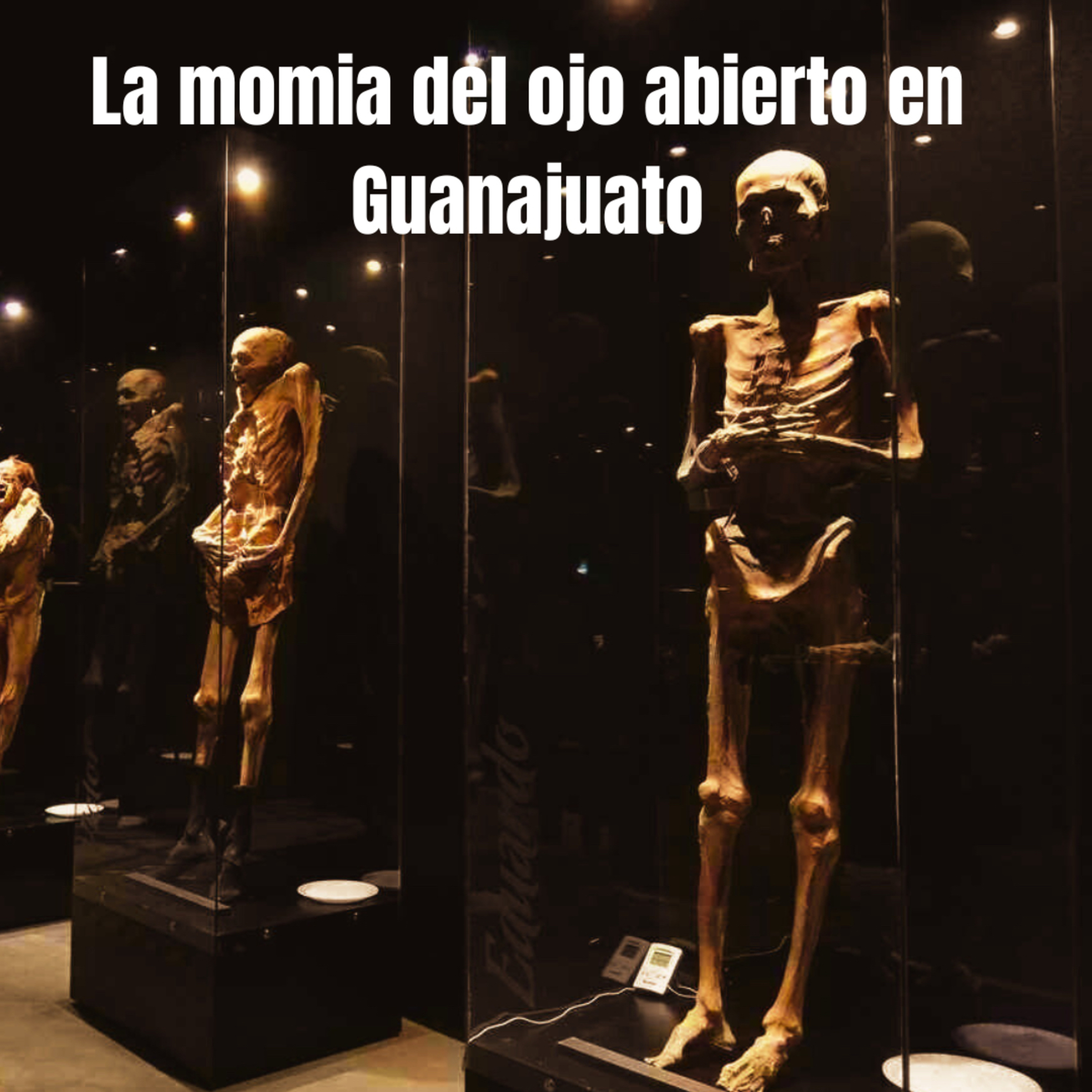 Misterios de lo Desconocido