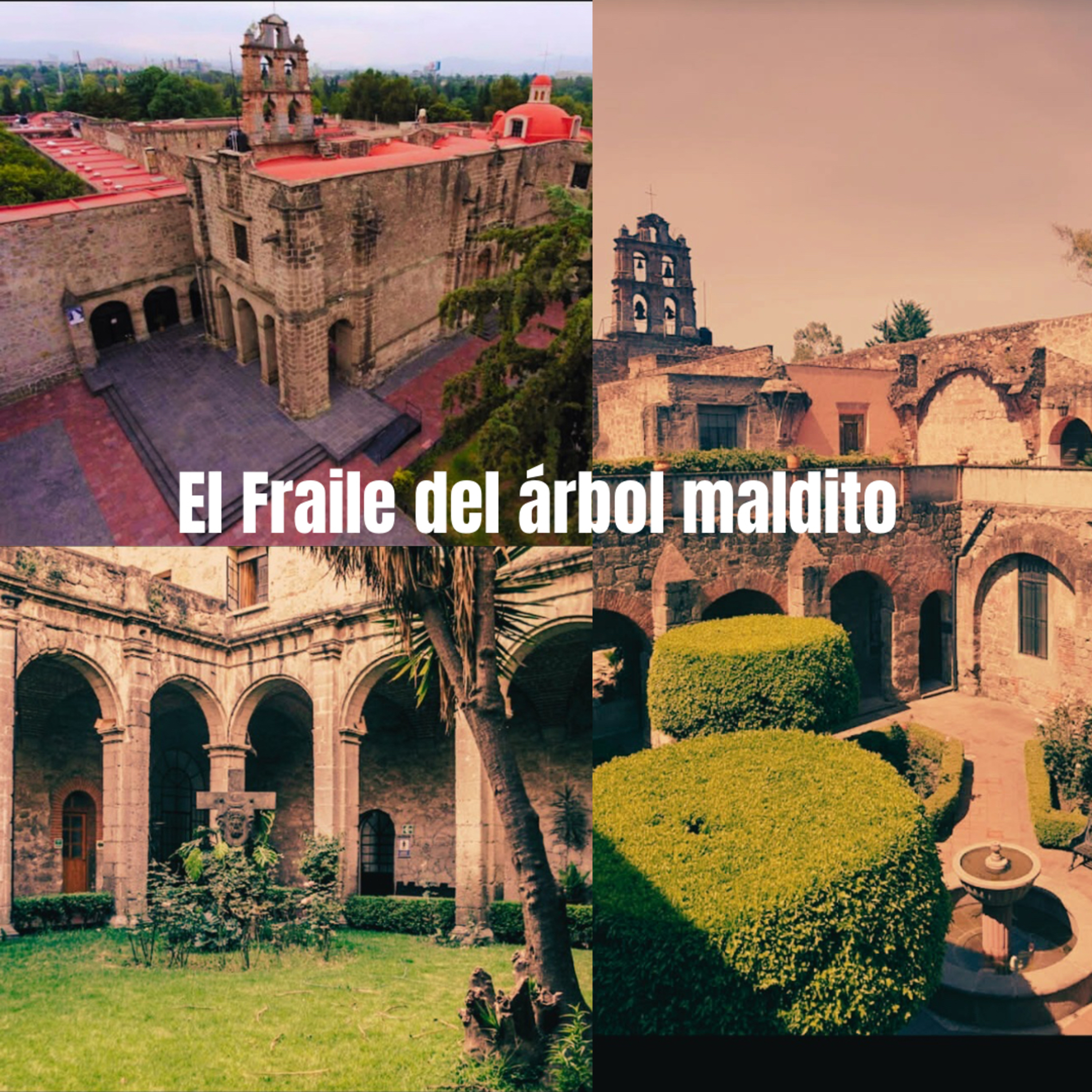 El fraile del árbol maldito episode artwork