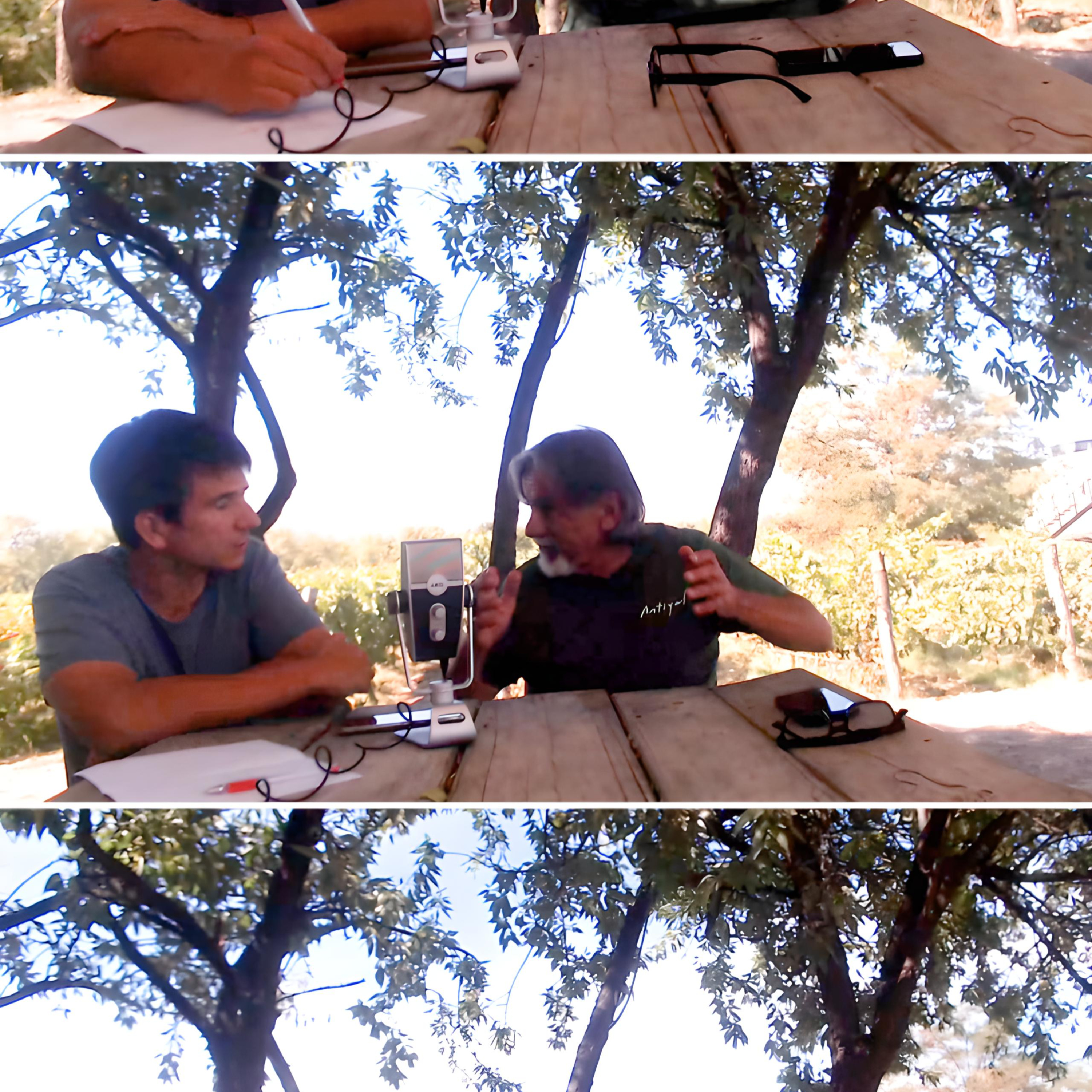 Wineglup´s