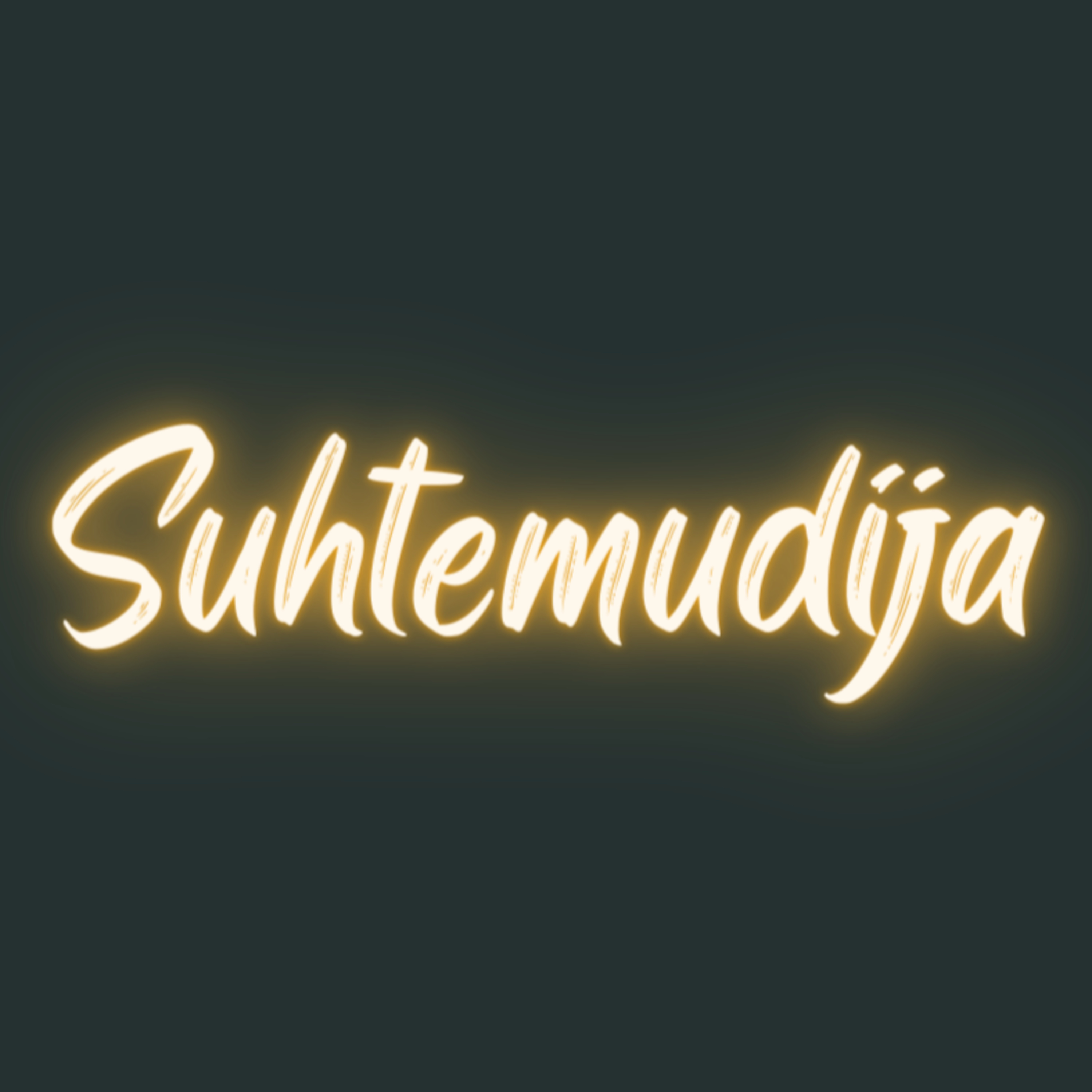 Suhtemudija
