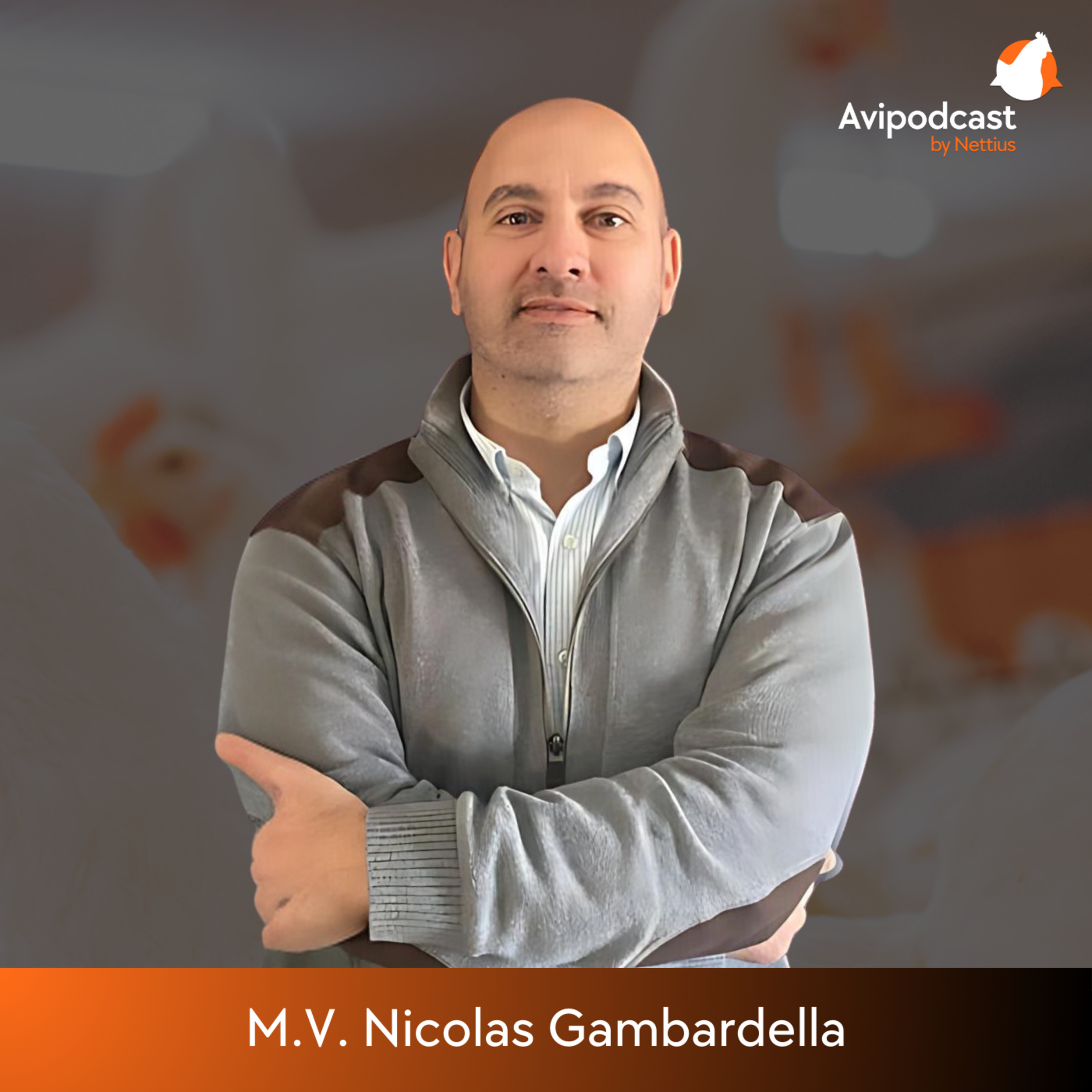 #51 - Importancia del manejo de ambiente en la sanidad del ave - M.V. Nicolas Gambardella